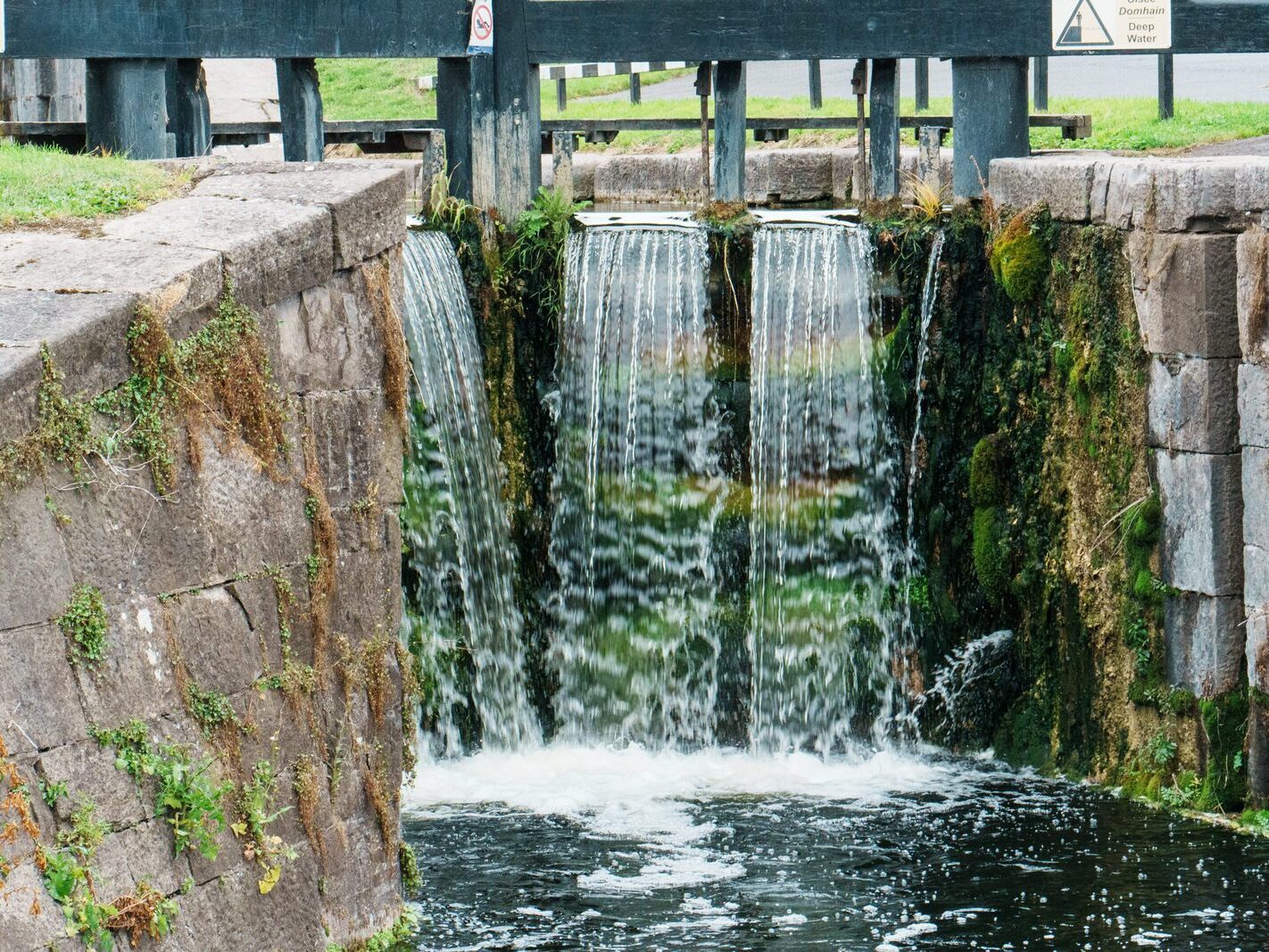 BETWEEN LOCK 5 AND LOCK 6 [ROYAL CANAL DUBLIN]-241110-1