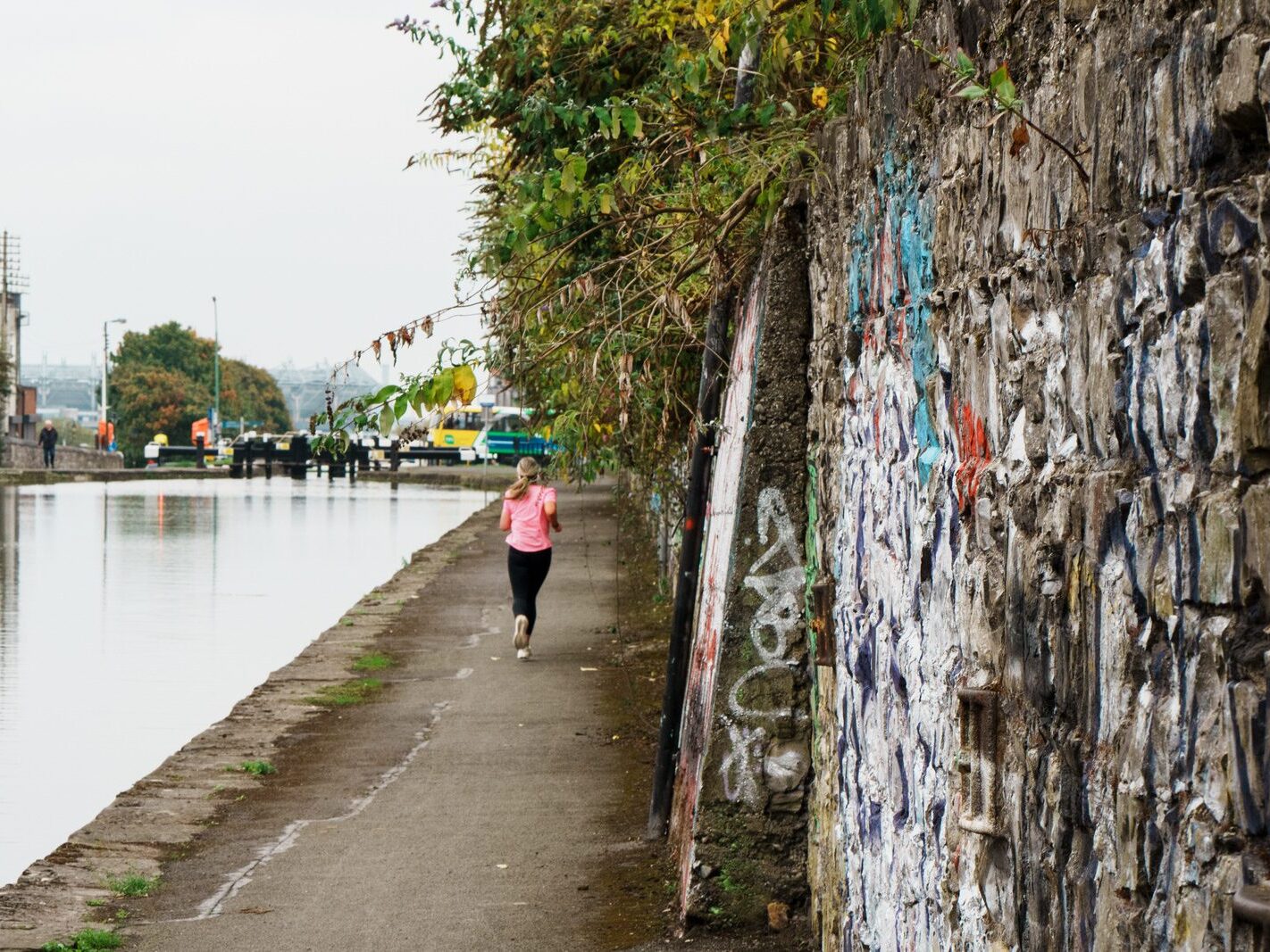 BETWEEN LOCK 5 AND LOCK 6 [ROYAL CANAL DUBLIN]-241112-1