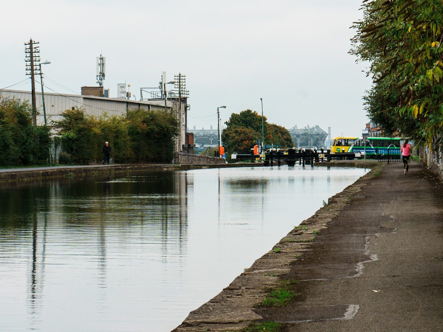 BETWEEN LOCK 5 AND LOCK 6 [ROYAL CANAL DUBLIN]-241113-1