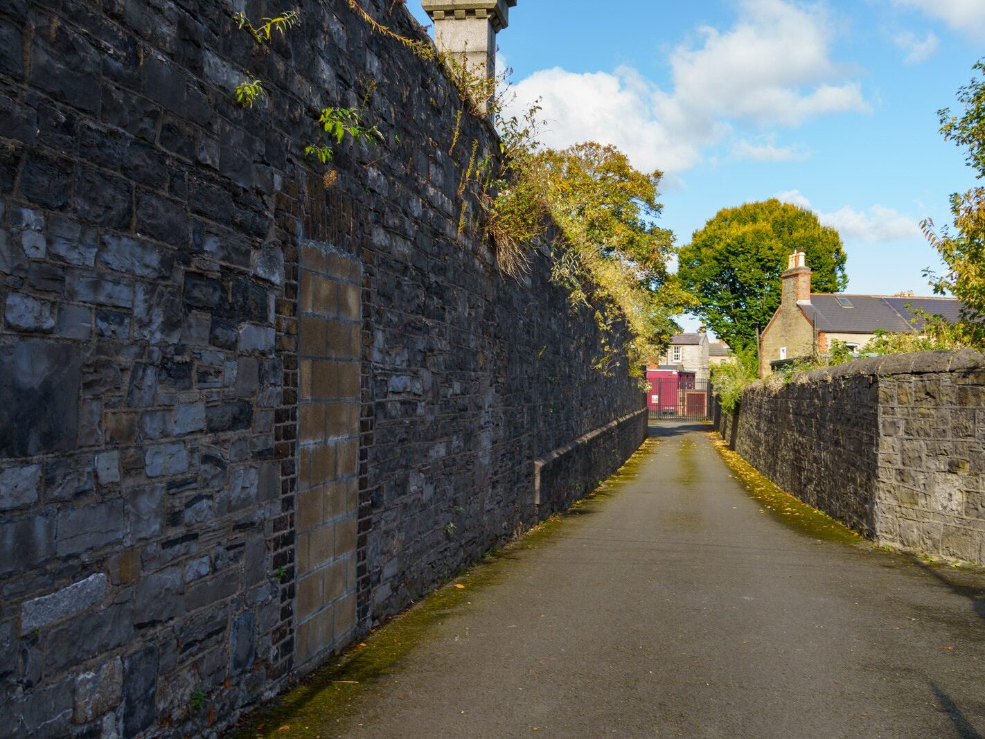 ARBOUR HILL 10 OCTOBER 2024 [THE STREET AND THE AREA AND THE RELATIONSHIP WITH STONEYBATTER]-243424-1