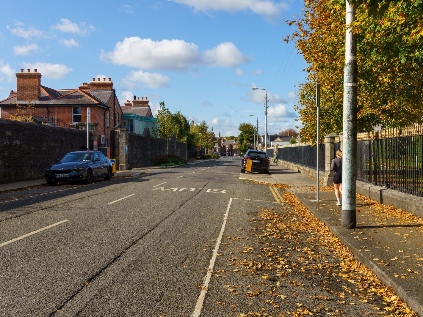 ARBOUR HILL 10 OCTOBER 2024 [THE STREET AND THE AREA AND THE RELATIONSHIP WITH STONEYBATTER]-243425-1