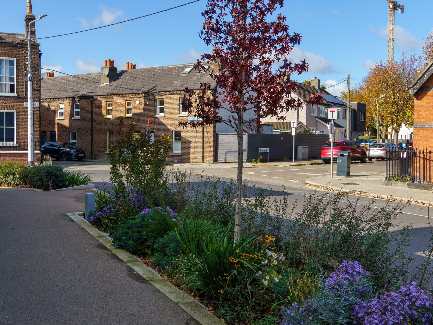 ARBOUR HILL 10 OCTOBER 2024 [THE STREET AND THE AREA AND THE RELATIONSHIP WITH STONEYBATTER]-243440-1