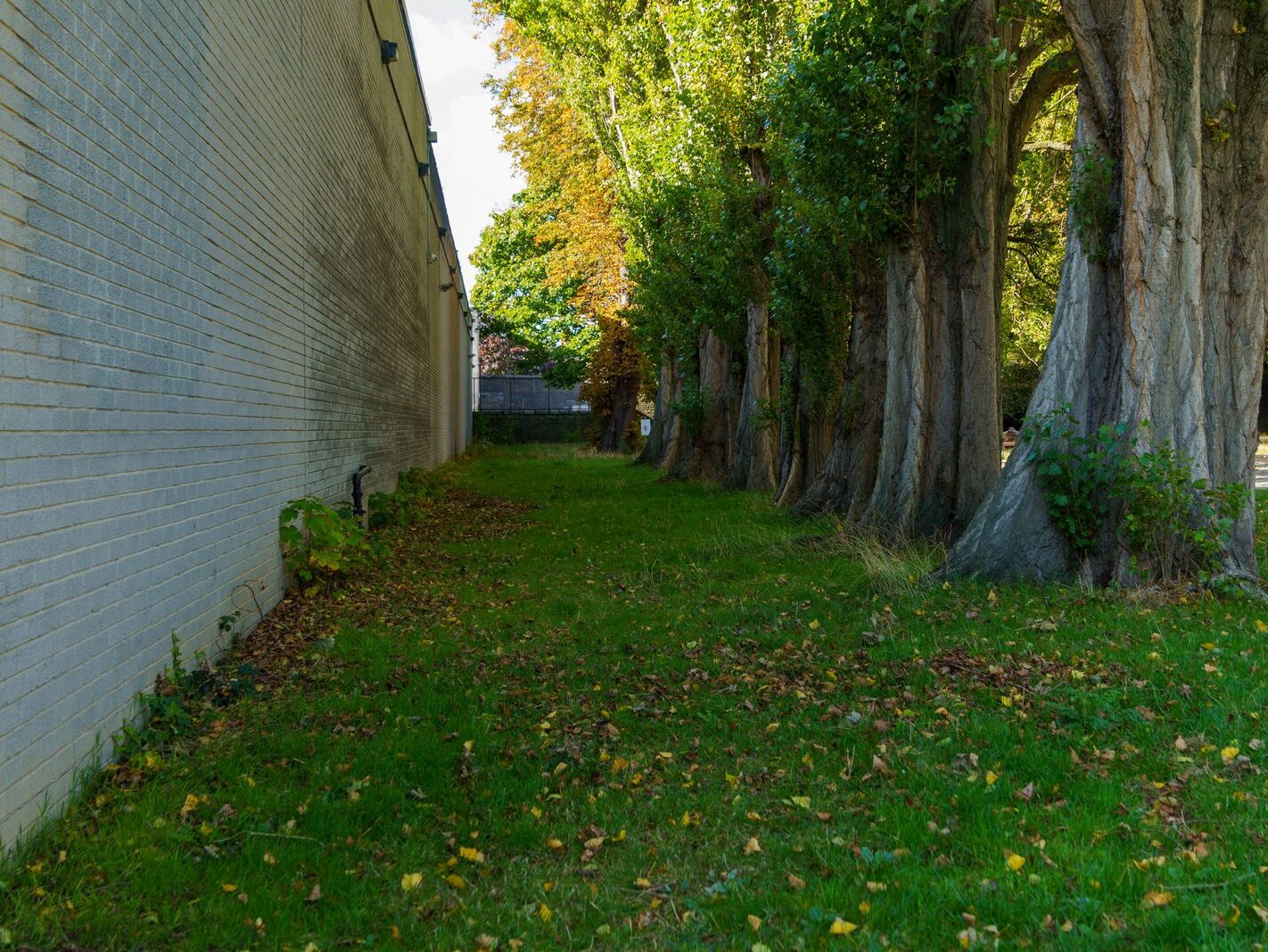 ARBOUR HILL CEMETERY AND 1916 MEMORIAL [PHOTOGRAPHED 10 OCTOBER 2024]-243326-1