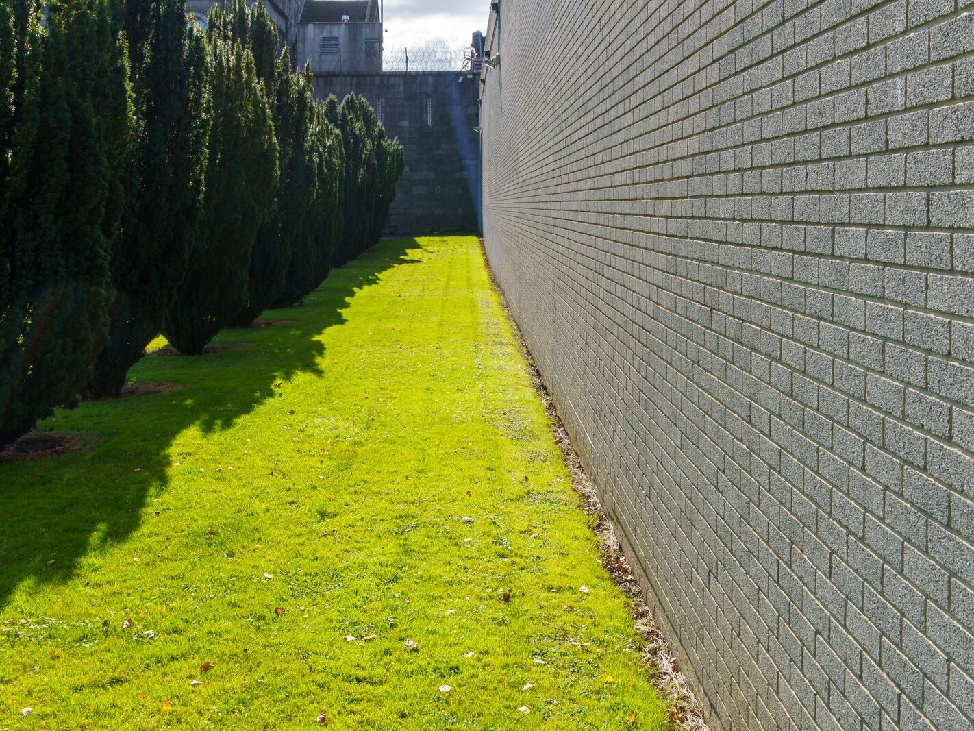 ARBOUR HILL CEMETERY AND 1916 MEMORIAL [PHOTOGRAPHED 10 OCTOBER 2024]-243327-1