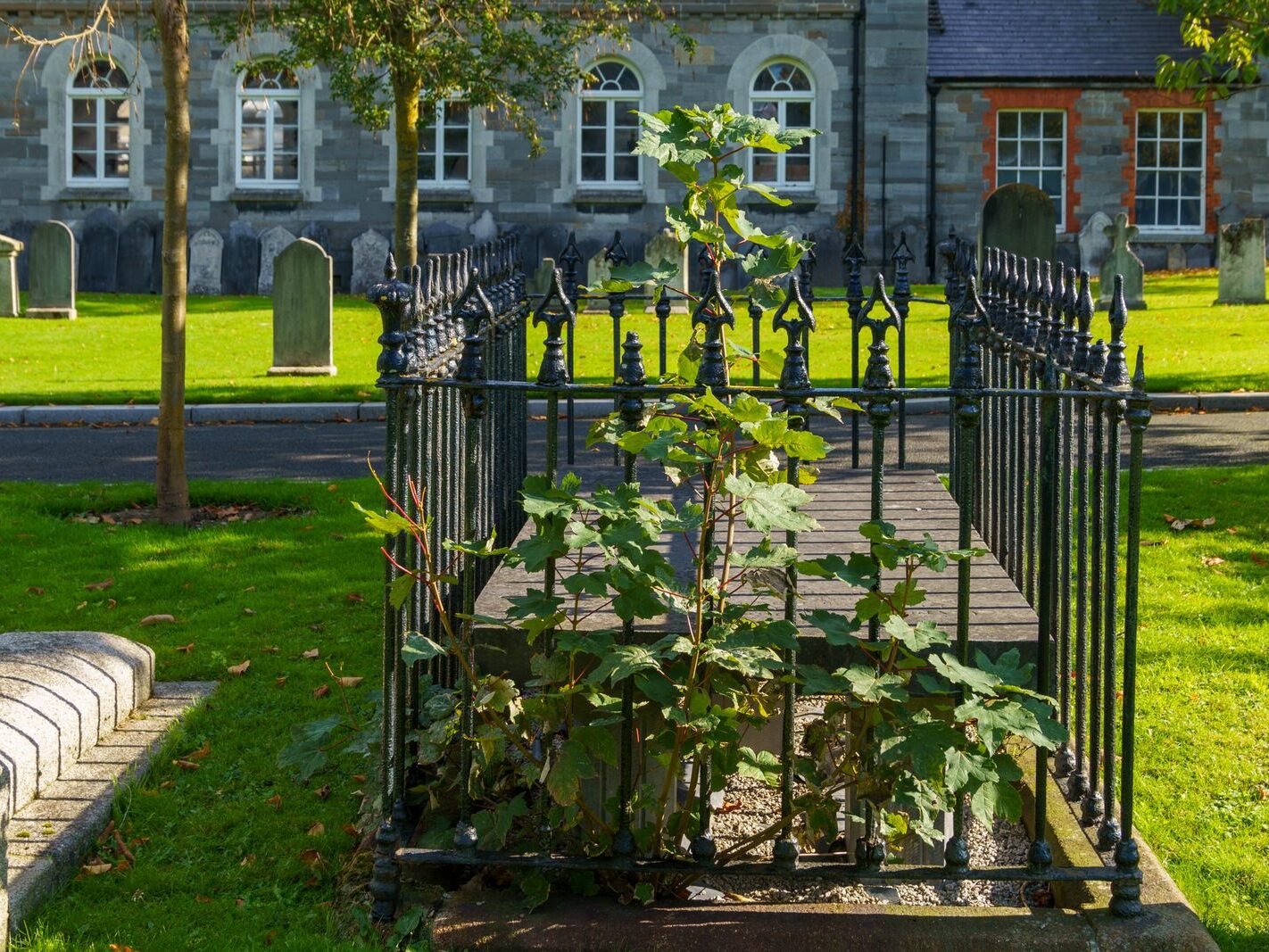 ARBOUR HILL CEMETERY AND 1916 MEMORIAL [PHOTOGRAPHED 10 OCTOBER 2024]-243329-1