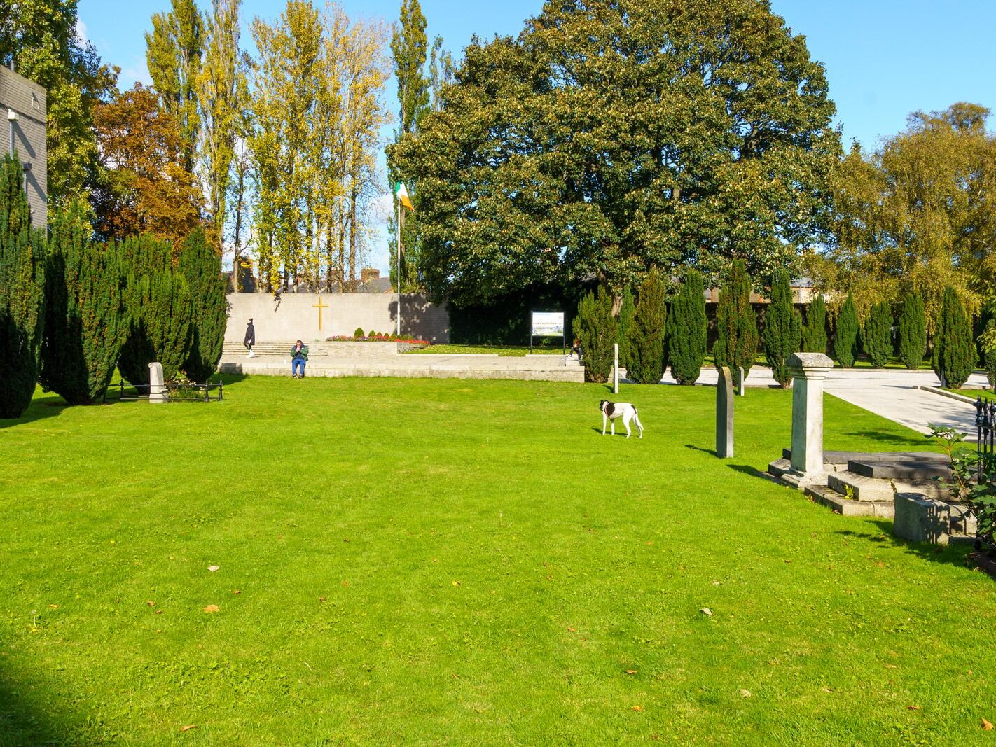 ARBOUR HILL CEMETERY AND 1916 MEMORIAL [PHOTOGRAPHED 10 OCTOBER 2024]-243330-1