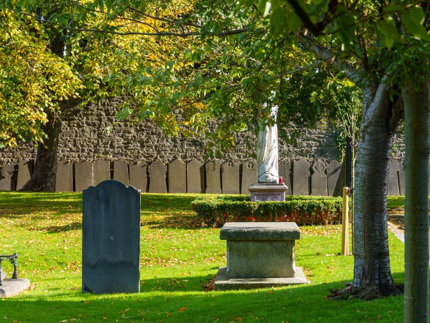 ARBOUR HILL CEMETERY AND 1916 MEMORIAL [PHOTOGRAPHED 10 OCTOBER 2024]-243338-1