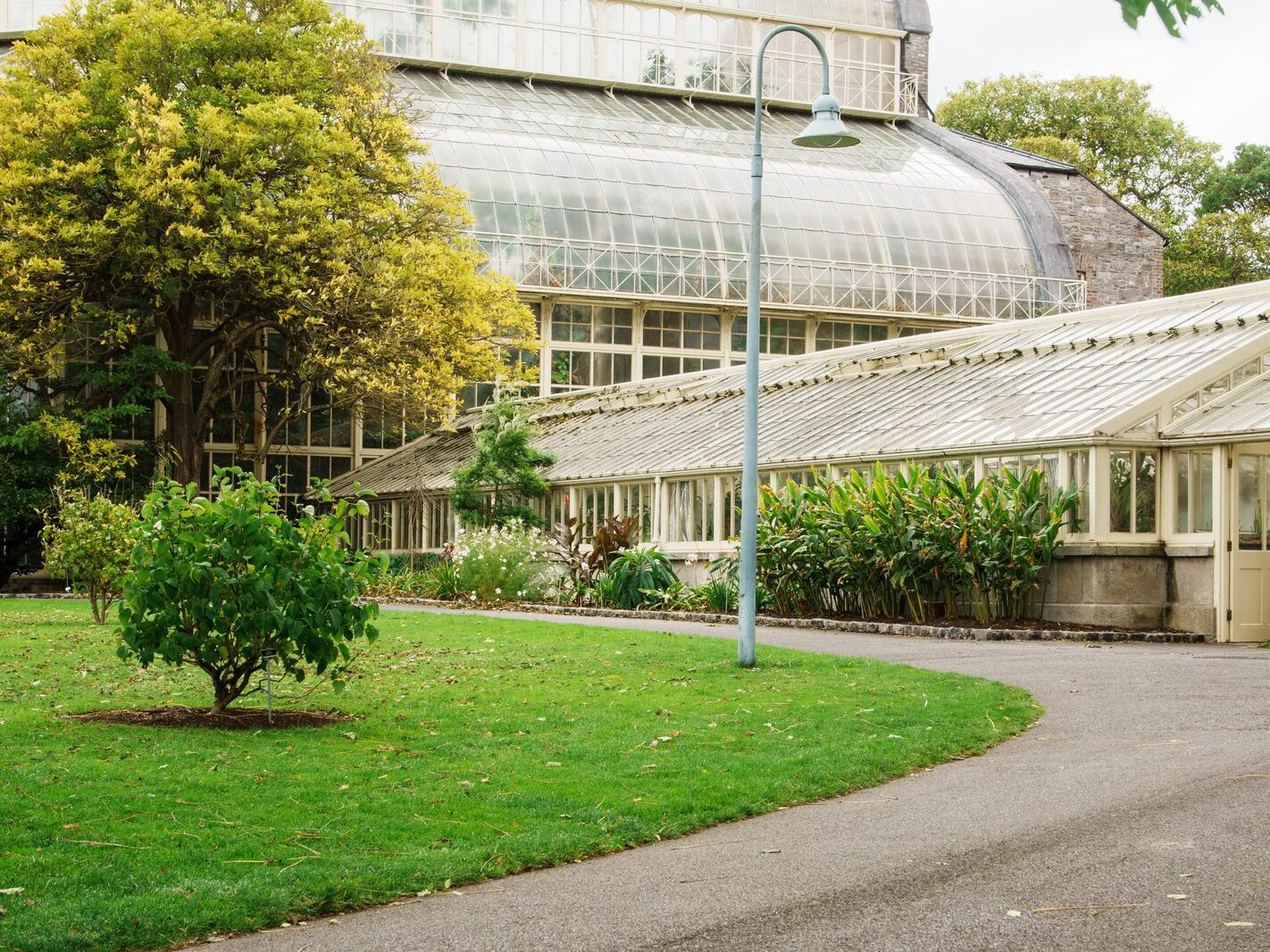 GLASSHOUSES IN THE BOTANIC GARDENS [4 OCTOBER 2024]-242170-1