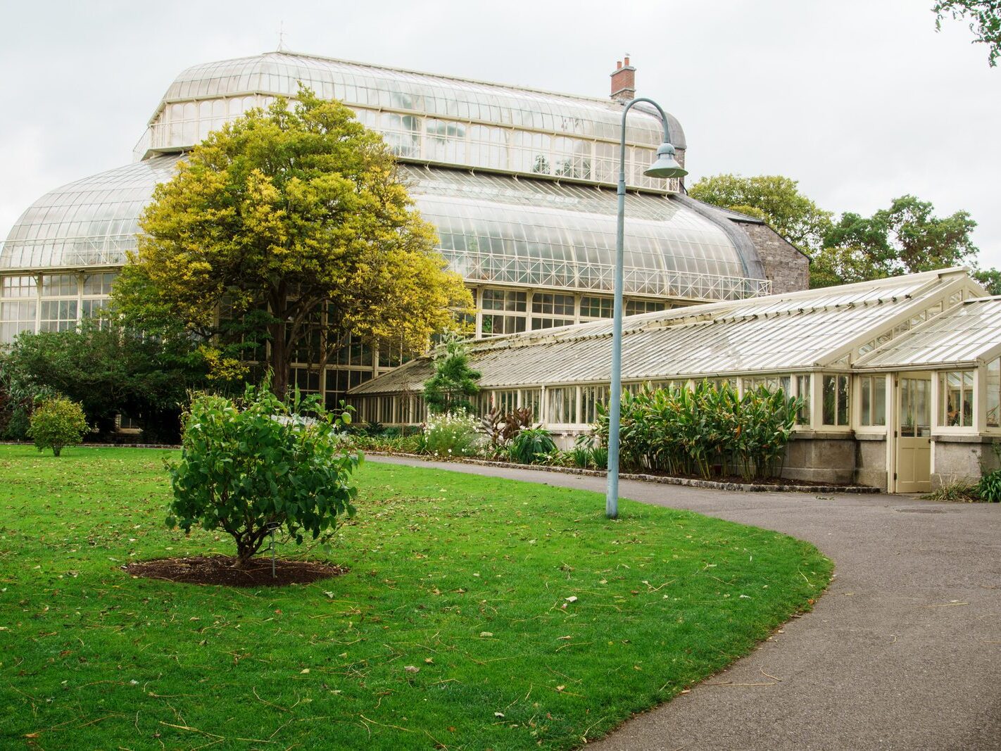 GLASSHOUSES IN THE BOTANIC GARDENS [4 OCTOBER 2024]-242173-1