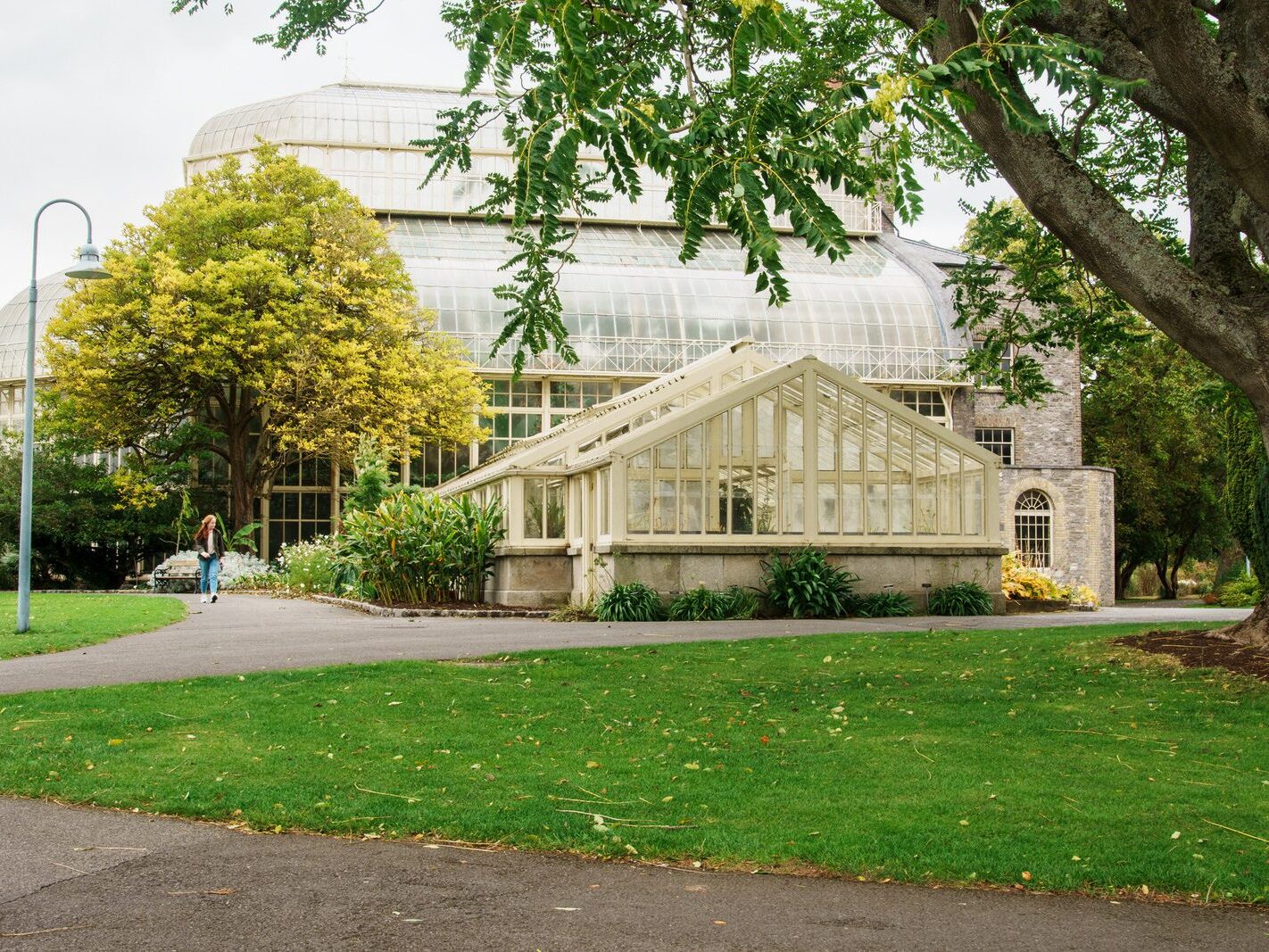 GLASSHOUSES IN THE BOTANIC GARDENS [4 OCTOBER 2024]-242175-1