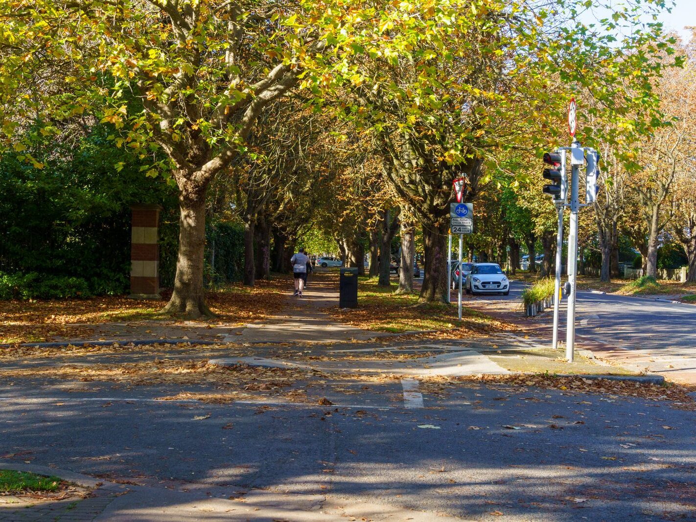 I VISIT GRIFFITH AVENUE SECTION BY SECTION EVERY AUTUMN [14 OCTOBER 2024]-242661-1