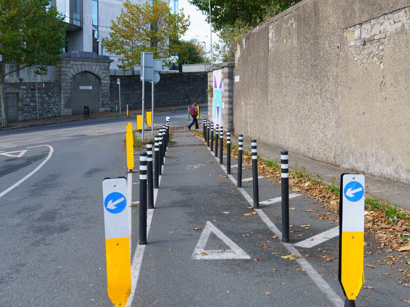 MOUNTPELIER HILL [A DUBLIN D7 STREET WITH A STORY TO TELL]-243376-1