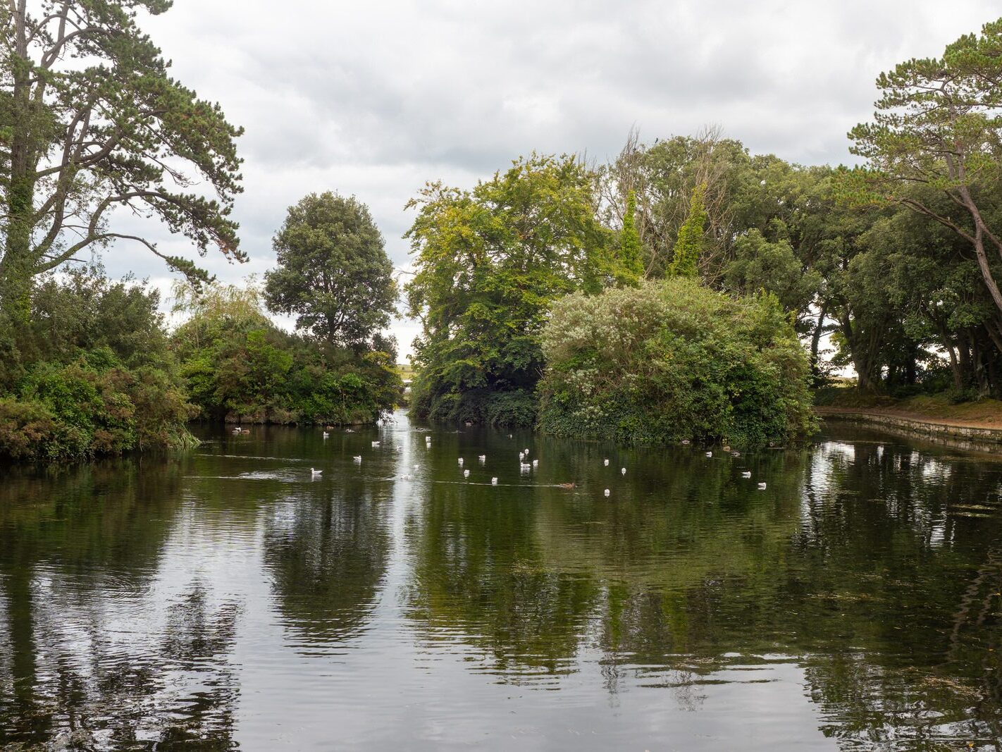 WHEN YOU ARE IN DUBLIN YOU SHOULD VISIT ST ANNE'S PARK [A RANDOM COLLECTION OF IMAGES]-241993-1