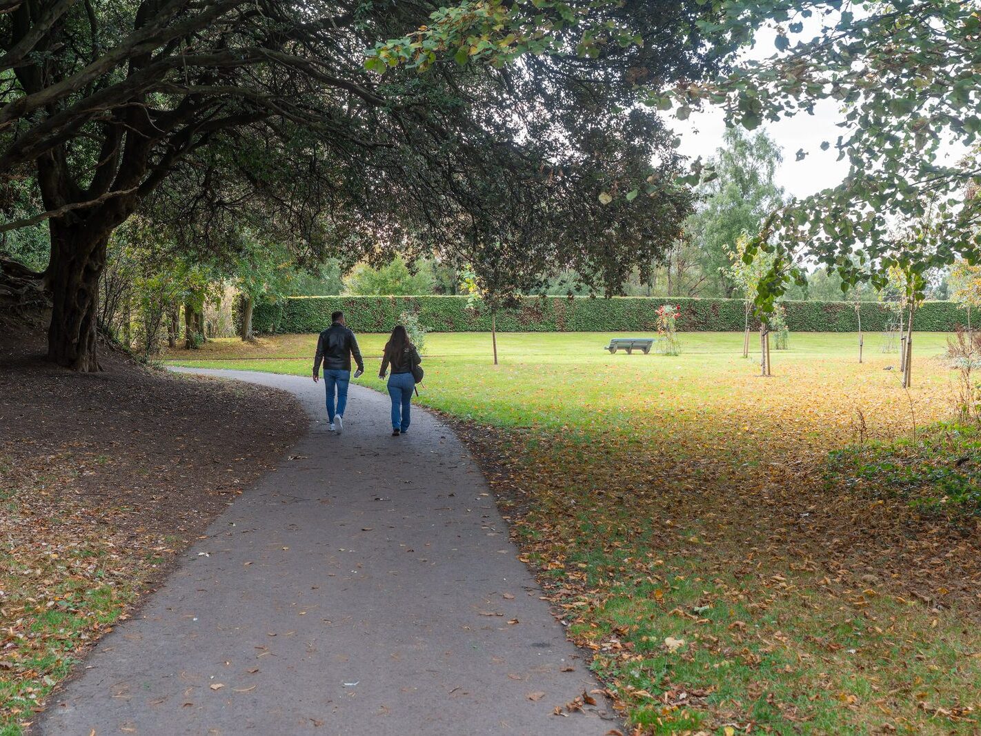 WHEN YOU ARE IN DUBLIN YOU SHOULD VISIT ST ANNE'S PARK [A RANDOM COLLECTION OF IMAGES]-242001-1