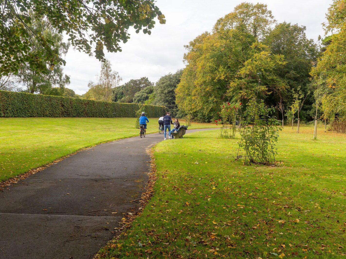 WHEN YOU ARE IN DUBLIN YOU SHOULD VISIT ST ANNE'S PARK [A RANDOM COLLECTION OF IMAGES]-242003-1