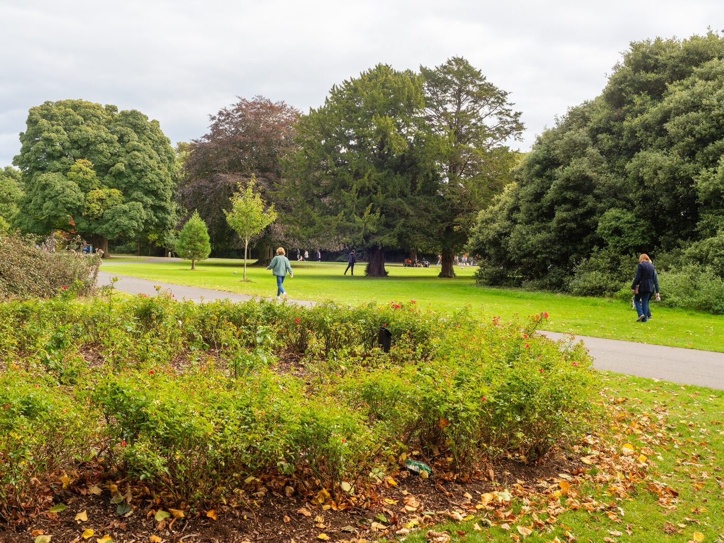 WHEN YOU ARE IN DUBLIN YOU SHOULD VISIT ST ANNE'S PARK [A RANDOM COLLECTION OF IMAGES]-242004-1