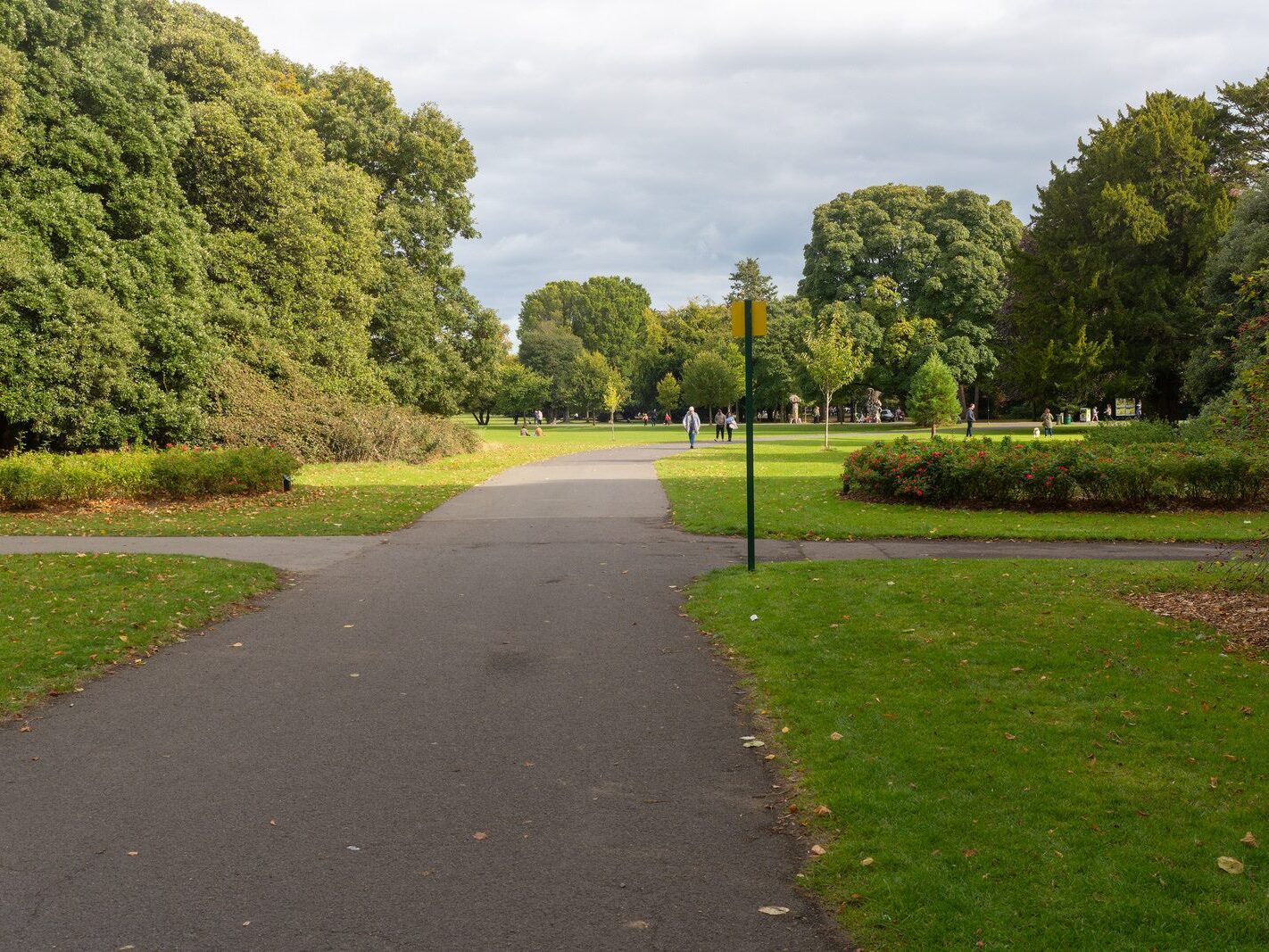 WHEN YOU ARE IN DUBLIN YOU SHOULD VISIT ST ANNE'S PARK [A RANDOM COLLECTION OF IMAGES]-242014-1