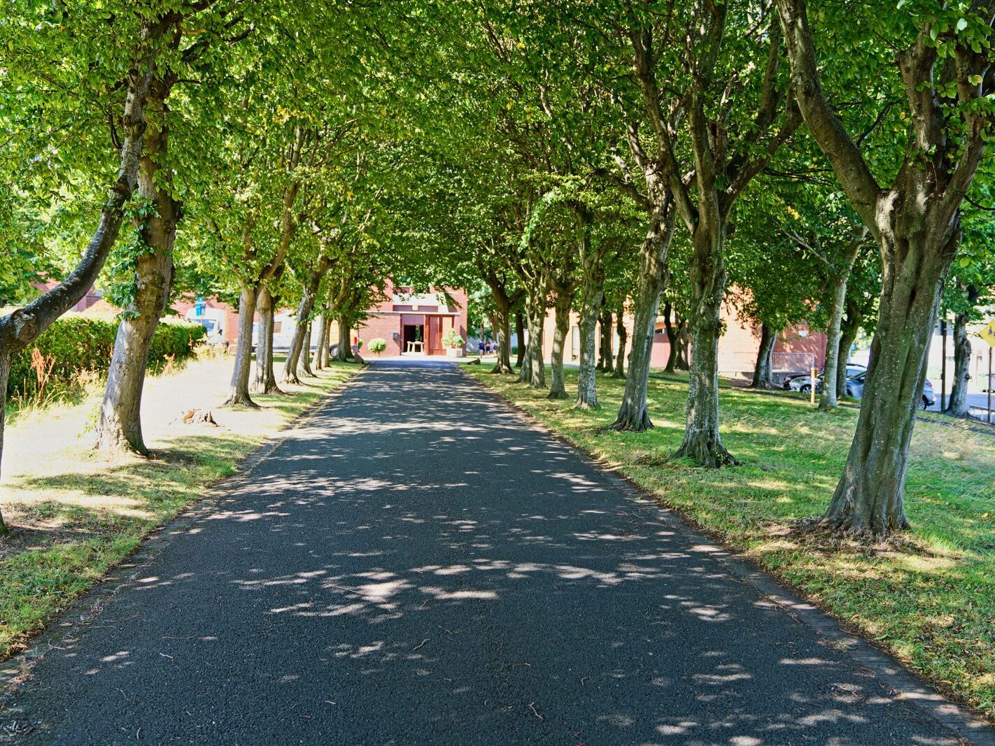 ST LAURENCE O'TOOLE CHURCH - HARLEYS HANGER [AND NEARBY MOUNT ANVILLE PRIMARY SCHOOL]-243711-1