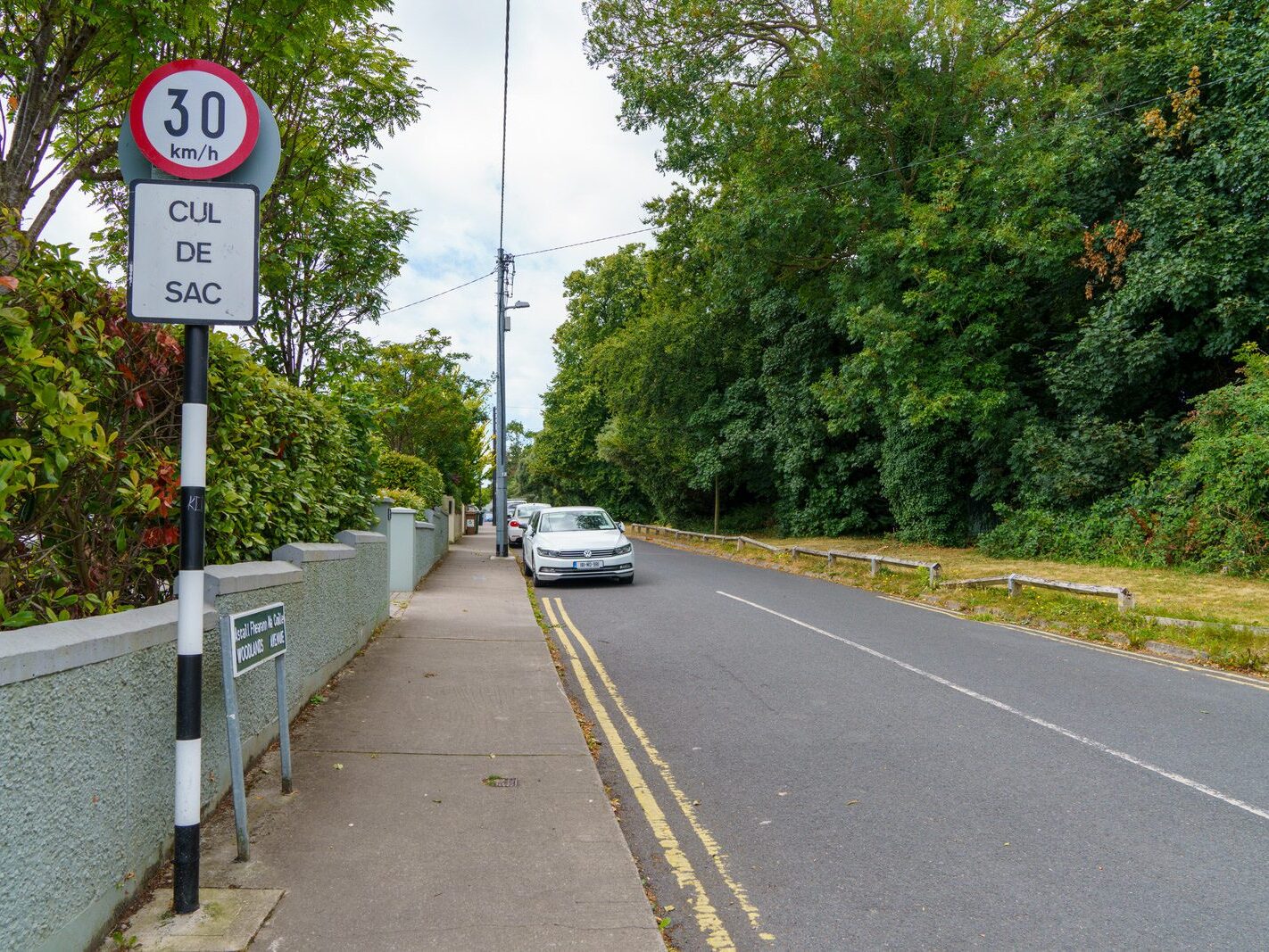 THE OLD DUBLIN ROAD STILLORGAN SECTION [IN THE 1960s I LIVED AT WOODLANDS DRIVE WHICH IS OFF THIS ROAD]-243606-1