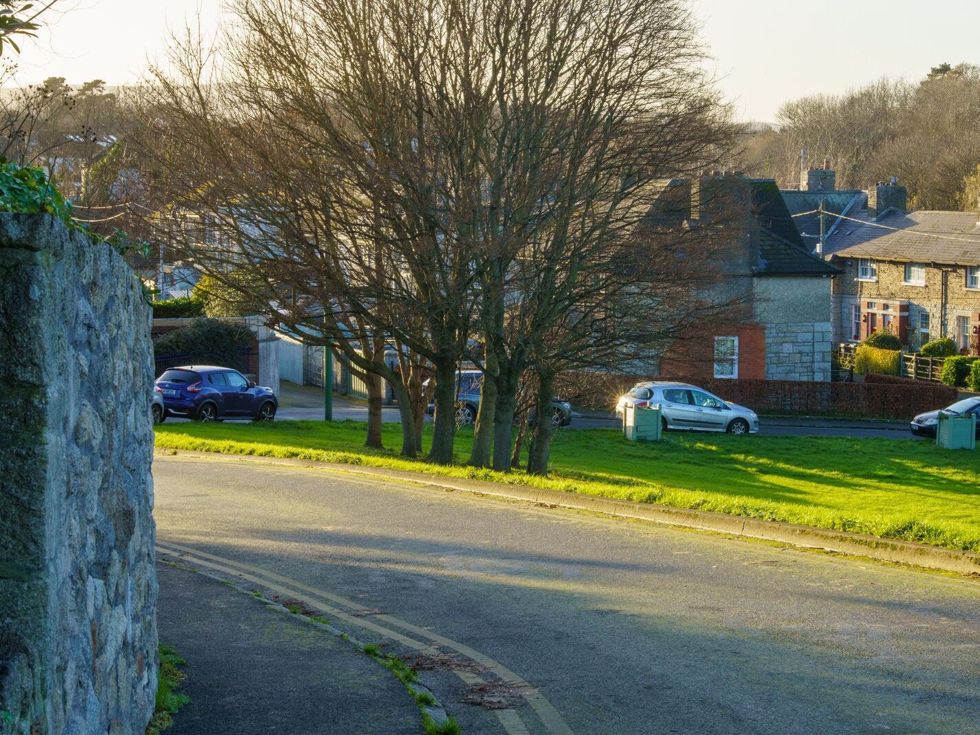 CHURCH LANE AND WOODVIEW COTTAGES [AS WELL AS RATHFARNHAM MILL]-245608-1