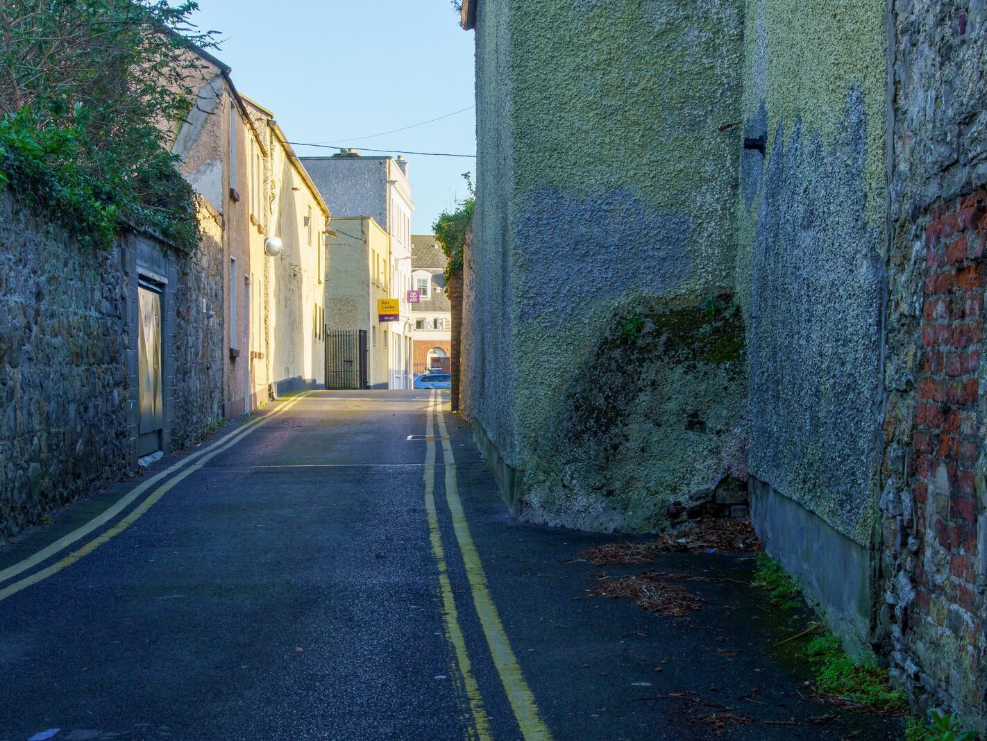 CHURCH LANE AND WOODVIEW COTTAGES [AS WELL AS RATHFARNHAM MILL]-245610-1