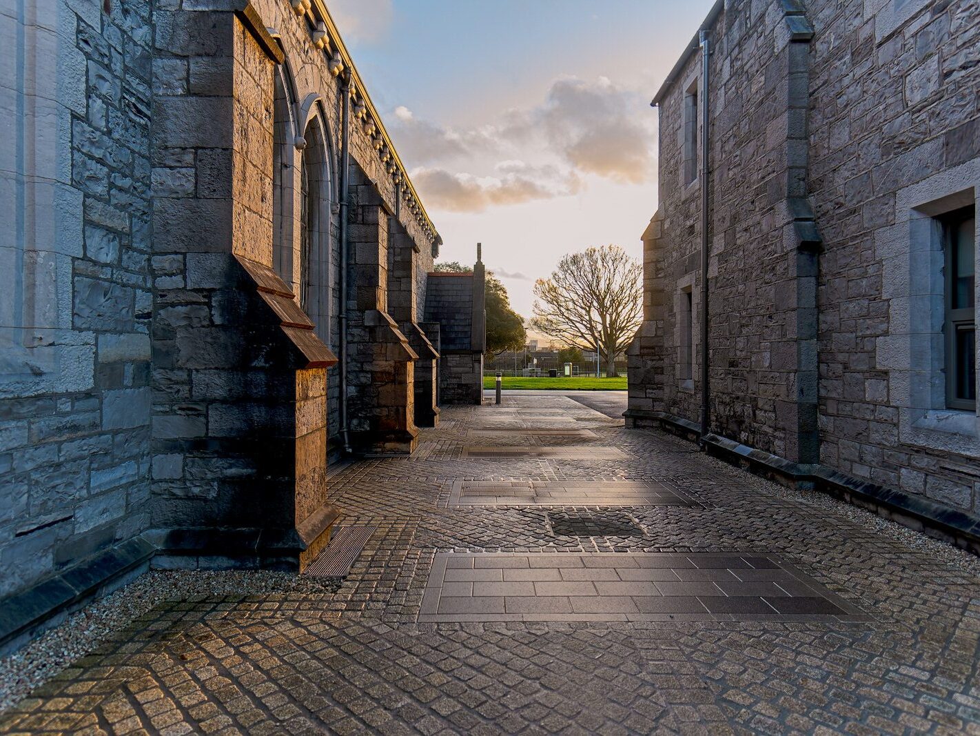 HAVE YOU EVER EXPLORED GRANGORMAN CAMPUS [IT IS SERVED BY TWO LUAS TRAM STOPS SO YOU HAVE NO EXCUSE NOT TO]-245682-1