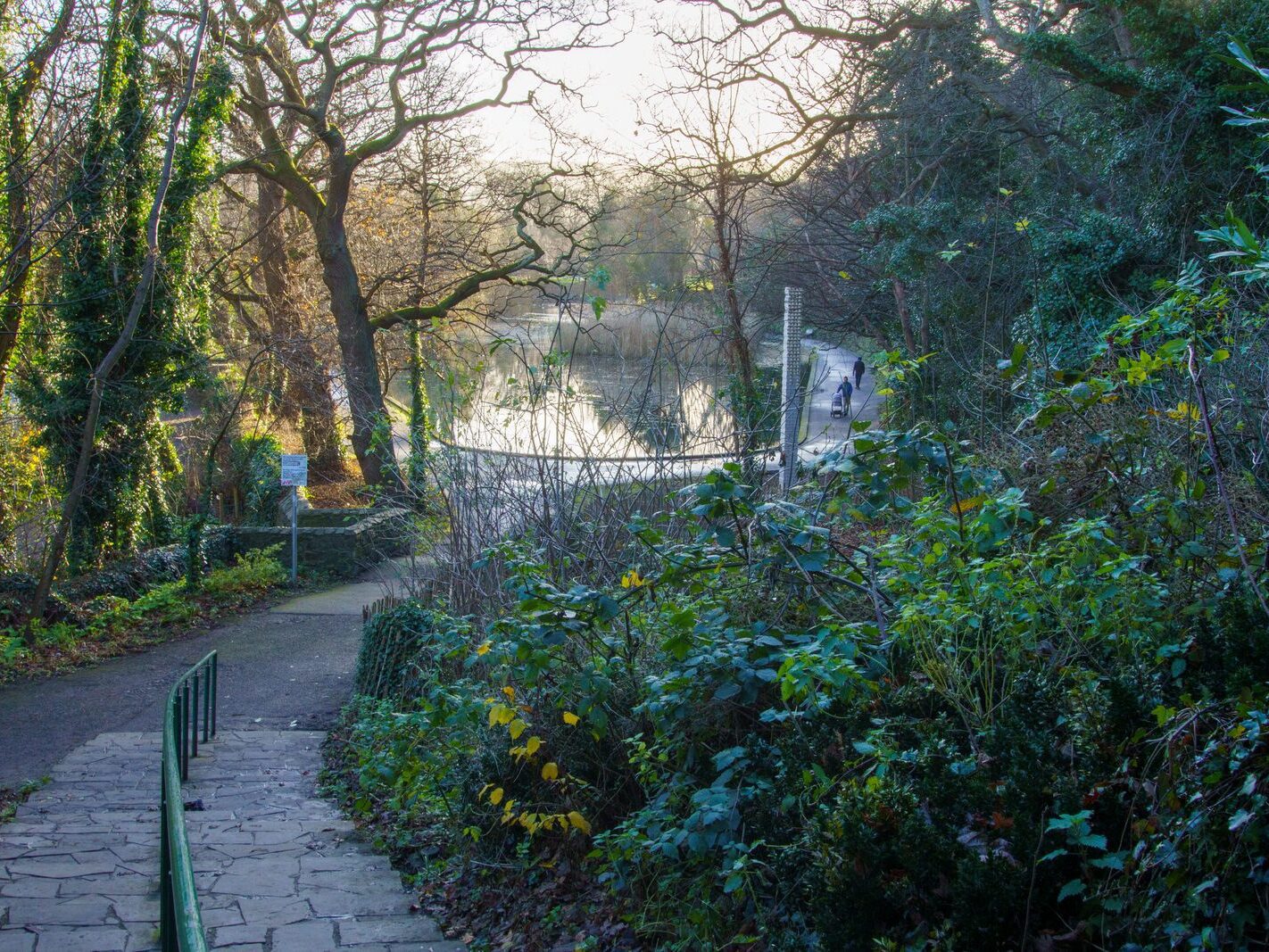 MY CHRISTMAS 2024 VISIT TO BUSHY PARK [19 DECEMBER 2024]-245575-1