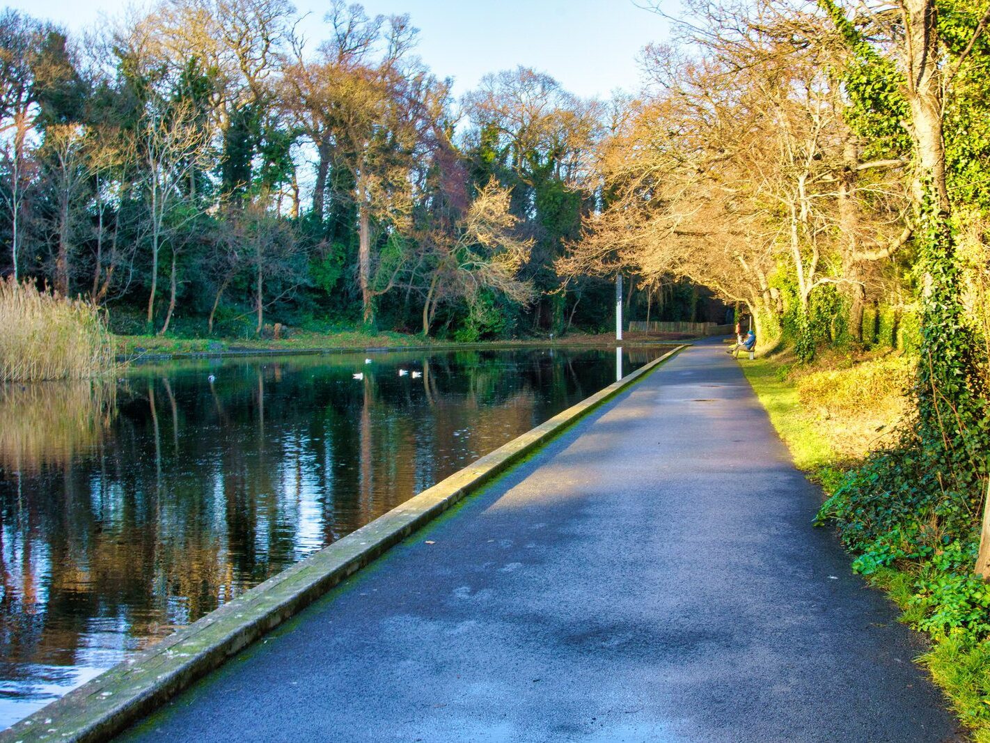 MY CHRISTMAS 2024 VISIT TO BUSHY PARK [19 DECEMBER 2024]-245580-1