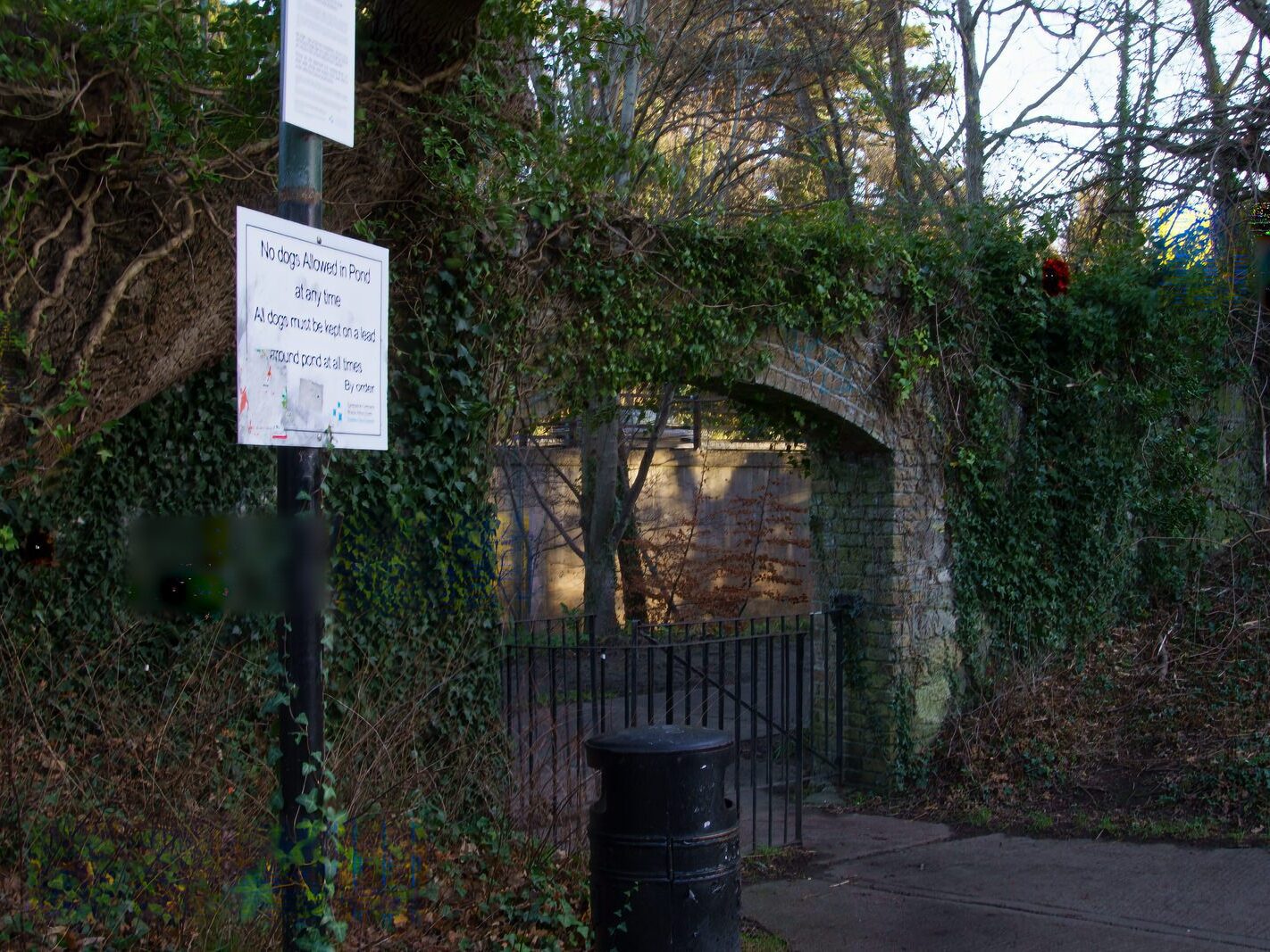 MY CHRISTMAS 2024 VISIT TO BUSHY PARK [19 DECEMBER 2024]-245584-1