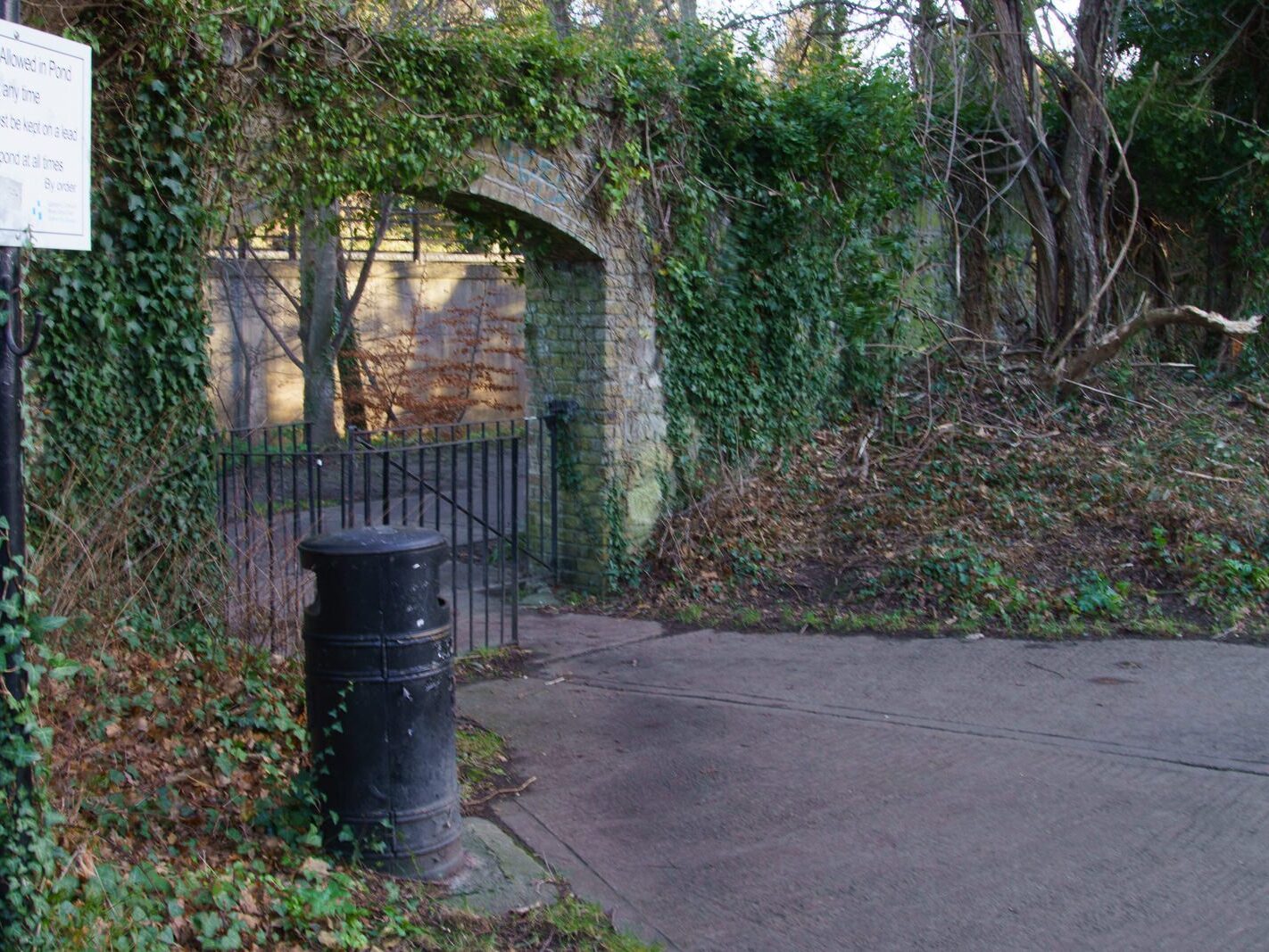 MY CHRISTMAS 2024 VISIT TO BUSHY PARK [19 DECEMBER 2024]-245585-1