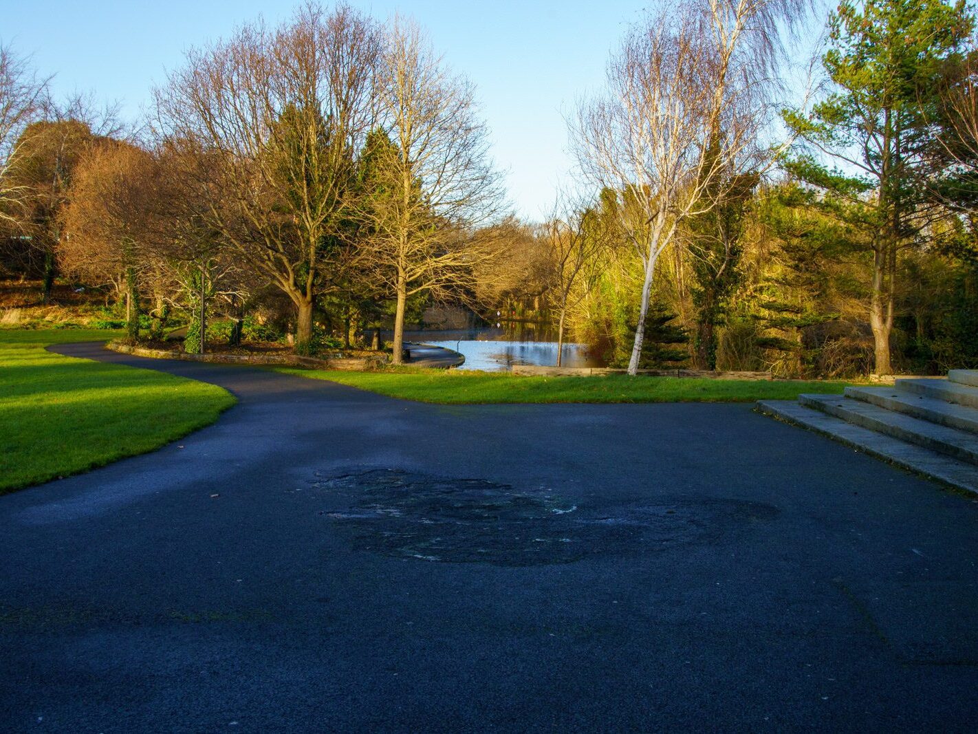 MY CHRISTMAS 2024 VISIT TO BUSHY PARK [19 DECEMBER 2024]-245586-1