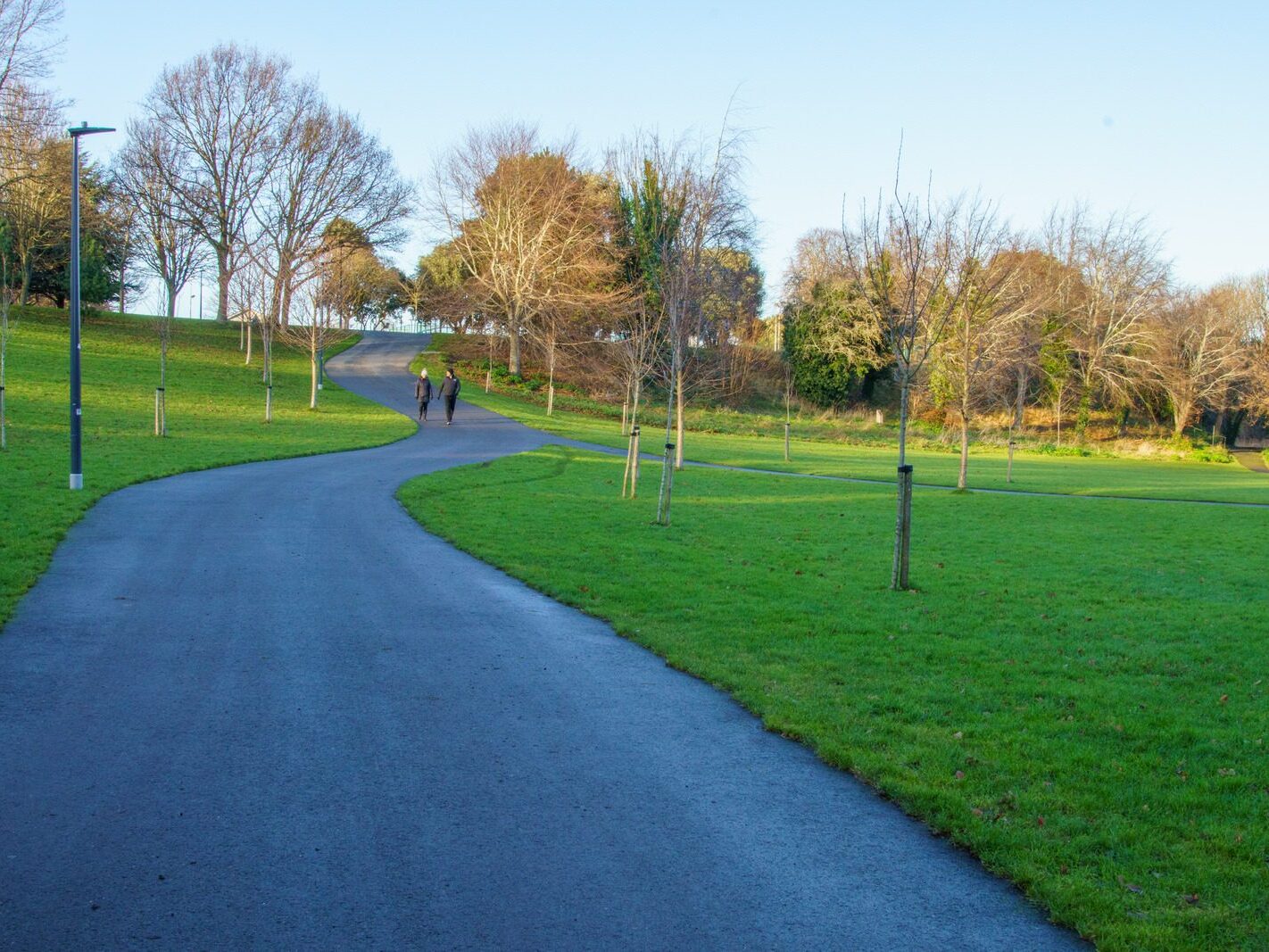 MY CHRISTMAS 2024 VISIT TO BUSHY PARK [19 DECEMBER 2024]-245588-1