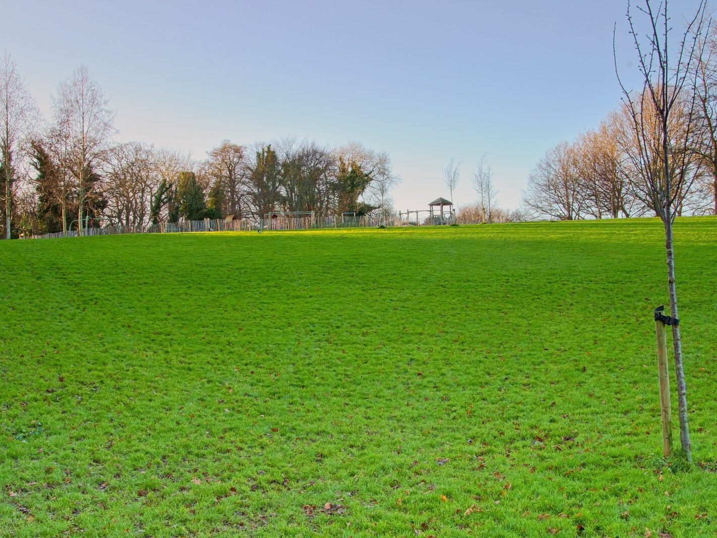 MY CHRISTMAS 2024 VISIT TO BUSHY PARK [19 DECEMBER 2024]-245589-1