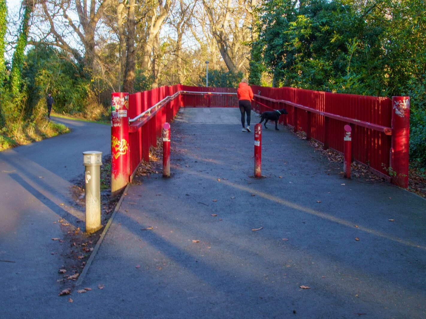 MY CHRISTMAS 2024 VISIT TO BUSHY PARK [19 DECEMBER 2024]-245591-1