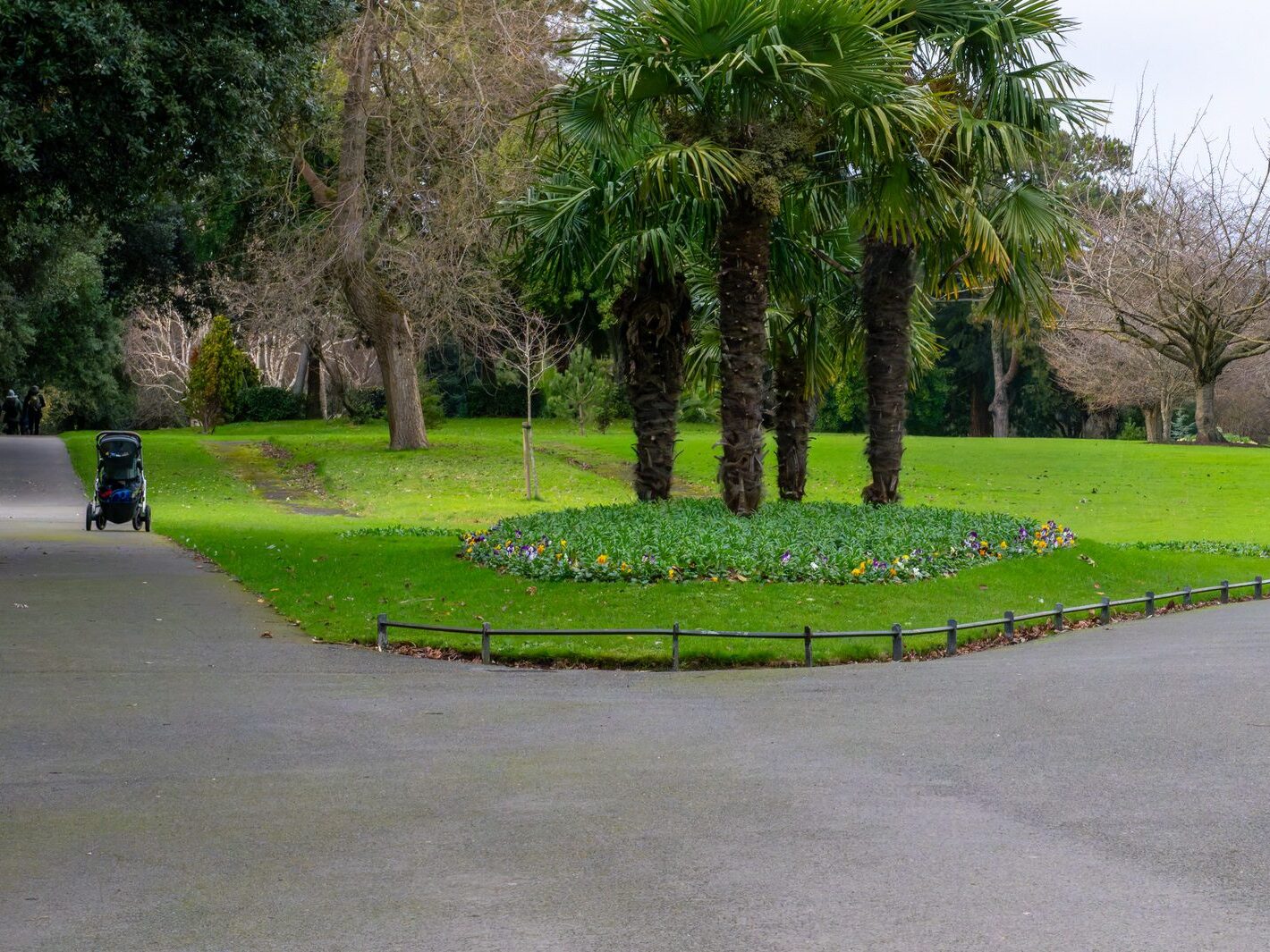 THE PEOPLES FLOWER GARDEN [PHOENIX PARK 30 DECEMBER 2024]-245917-1