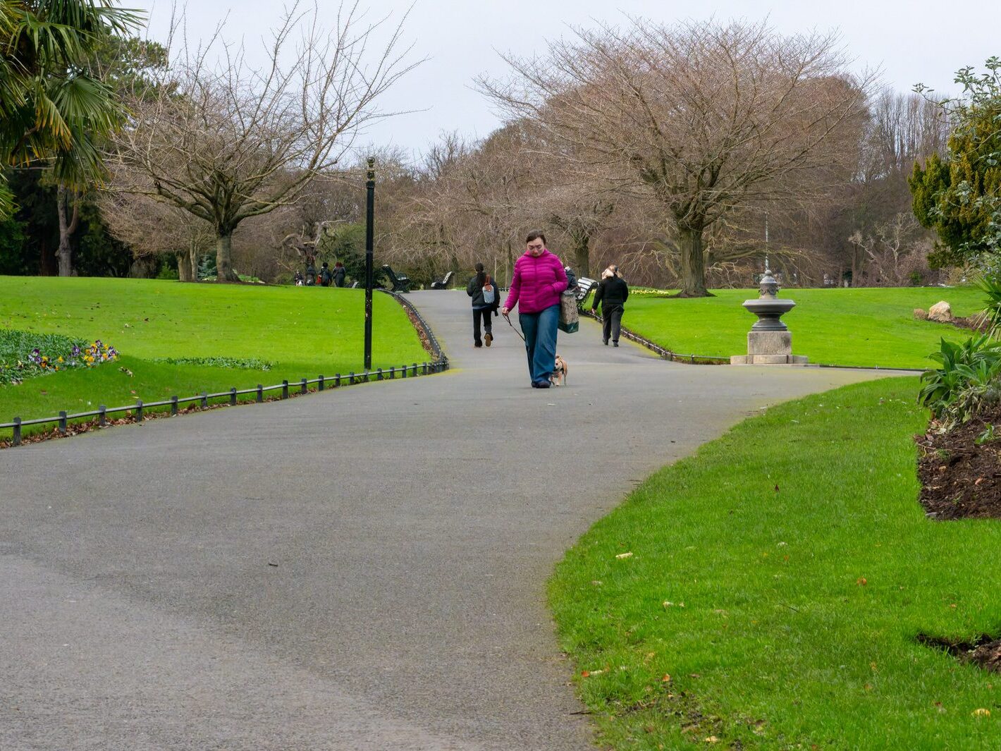 THE PEOPLES FLOWER GARDEN [PHOENIX PARK 30 DECEMBER 2024]-245918-1