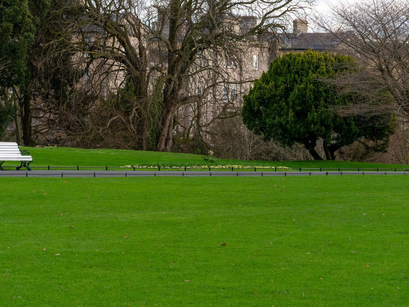 THE PEOPLES FLOWER GARDEN [PHOENIX PARK 30 DECEMBER 2024]-245926-1