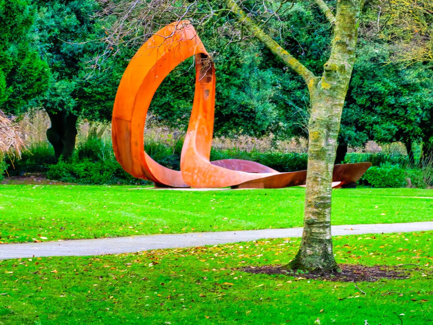 THE PEOPLES FLOWER GARDEN [PHOENIX PARK 30 DECEMBER 2024]-245927-1