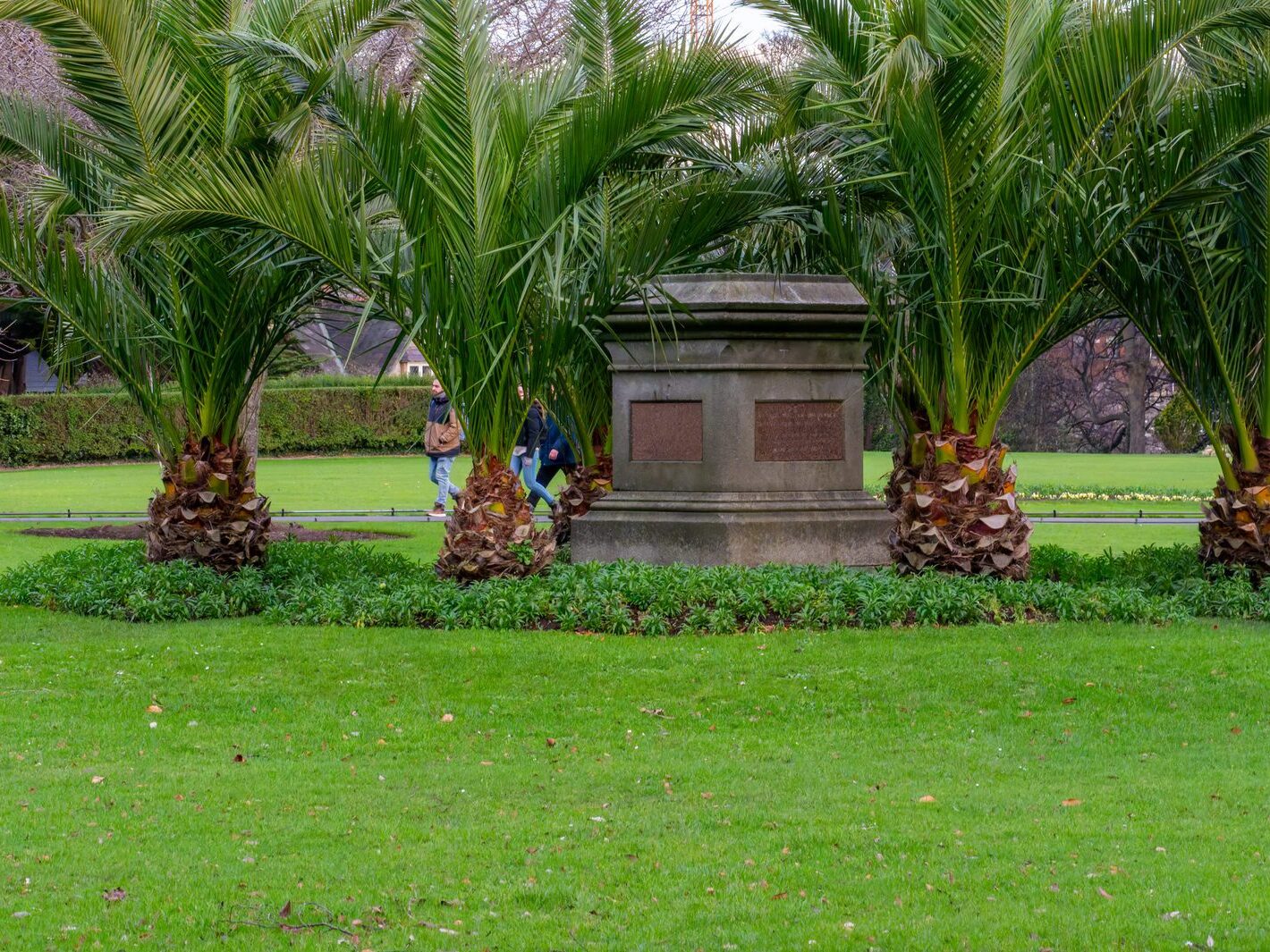 THE PEOPLES FLOWER GARDEN [PHOENIX PARK 30 DECEMBER 2024]-245928-1