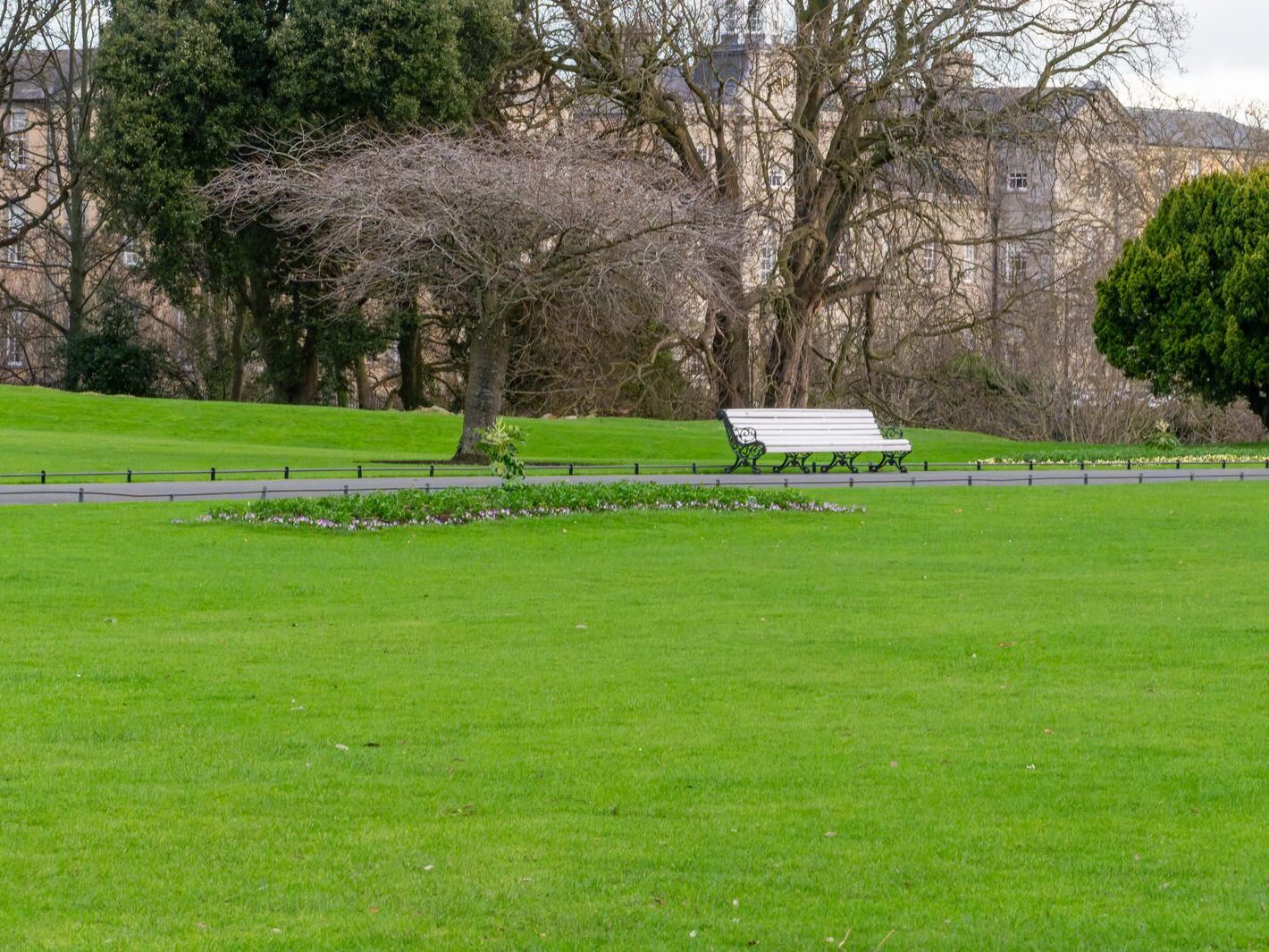 THE PEOPLES FLOWER GARDEN [PHOENIX PARK 30 DECEMBER 2024]-245929-1