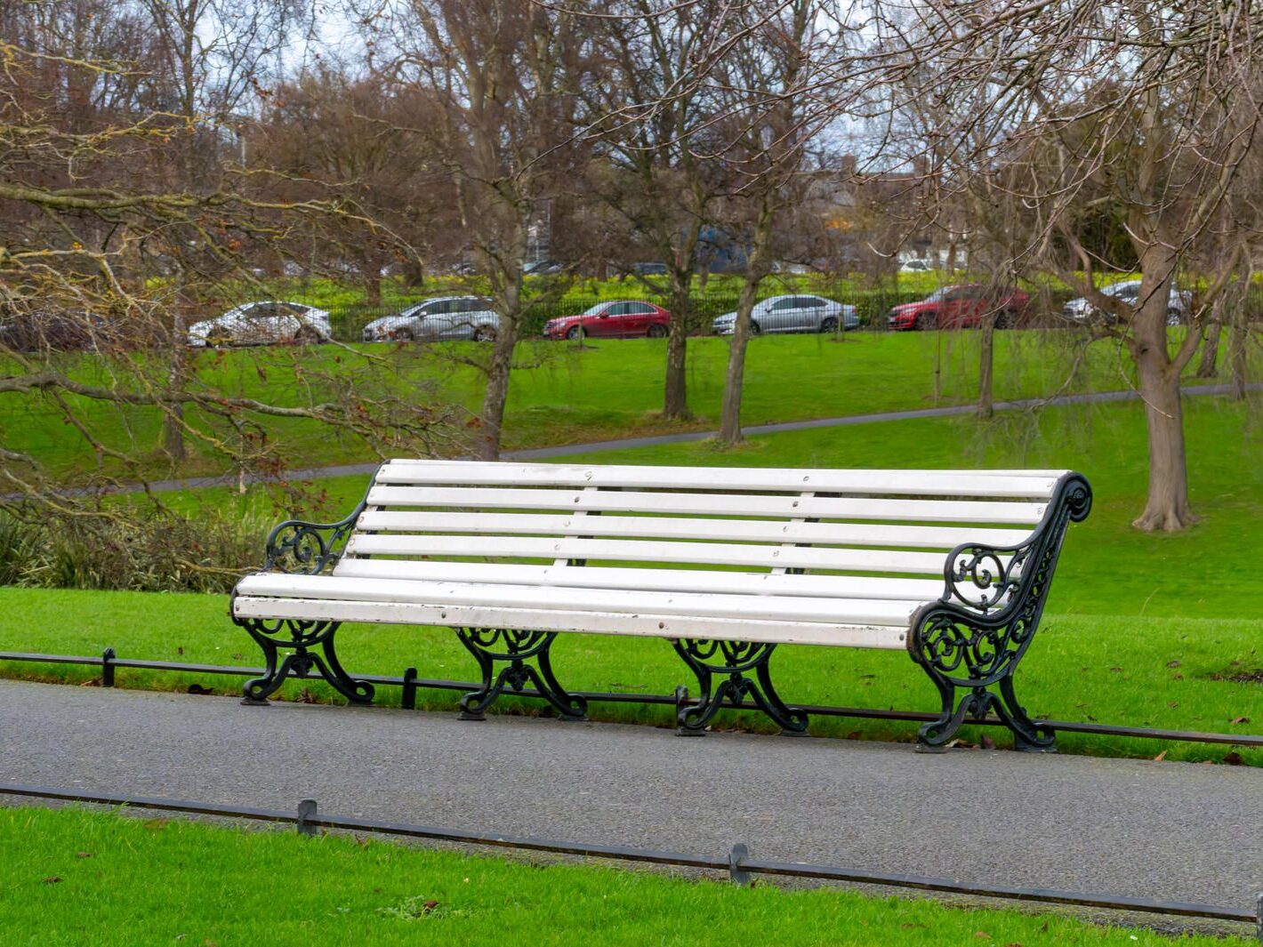 THE PEOPLES FLOWER GARDEN [PHOENIX PARK 30 DECEMBER 2024]-245930-1