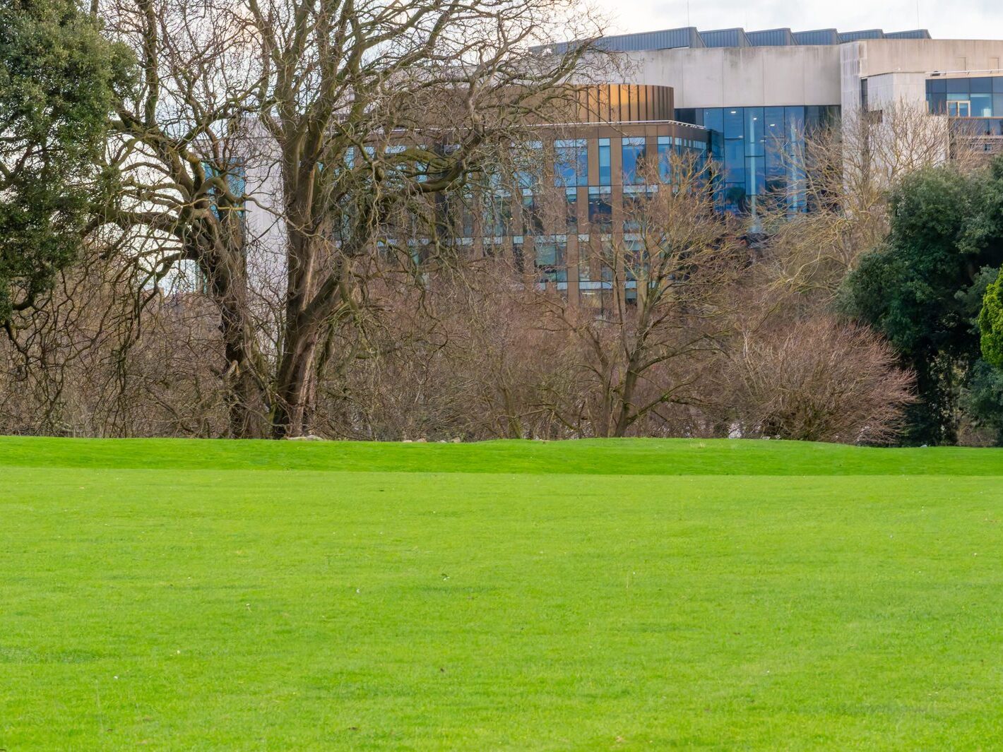 THE PEOPLES FLOWER GARDEN [PHOENIX PARK 30 DECEMBER 2024]-245933-1