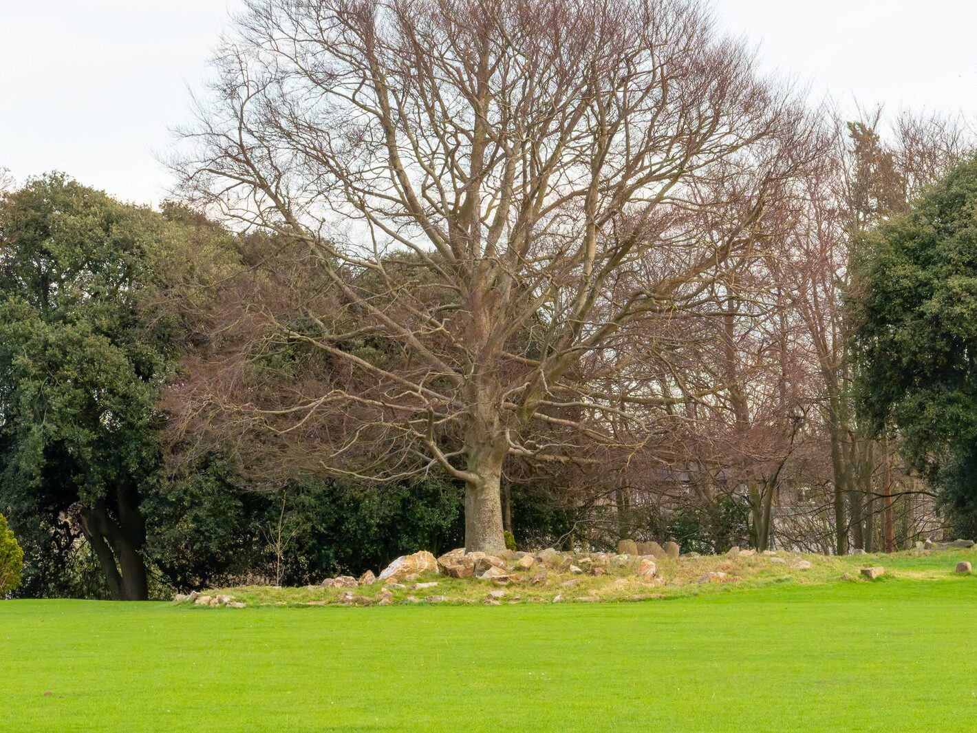 THE PEOPLES FLOWER GARDEN [PHOENIX PARK 30 DECEMBER 2024]-245934-1