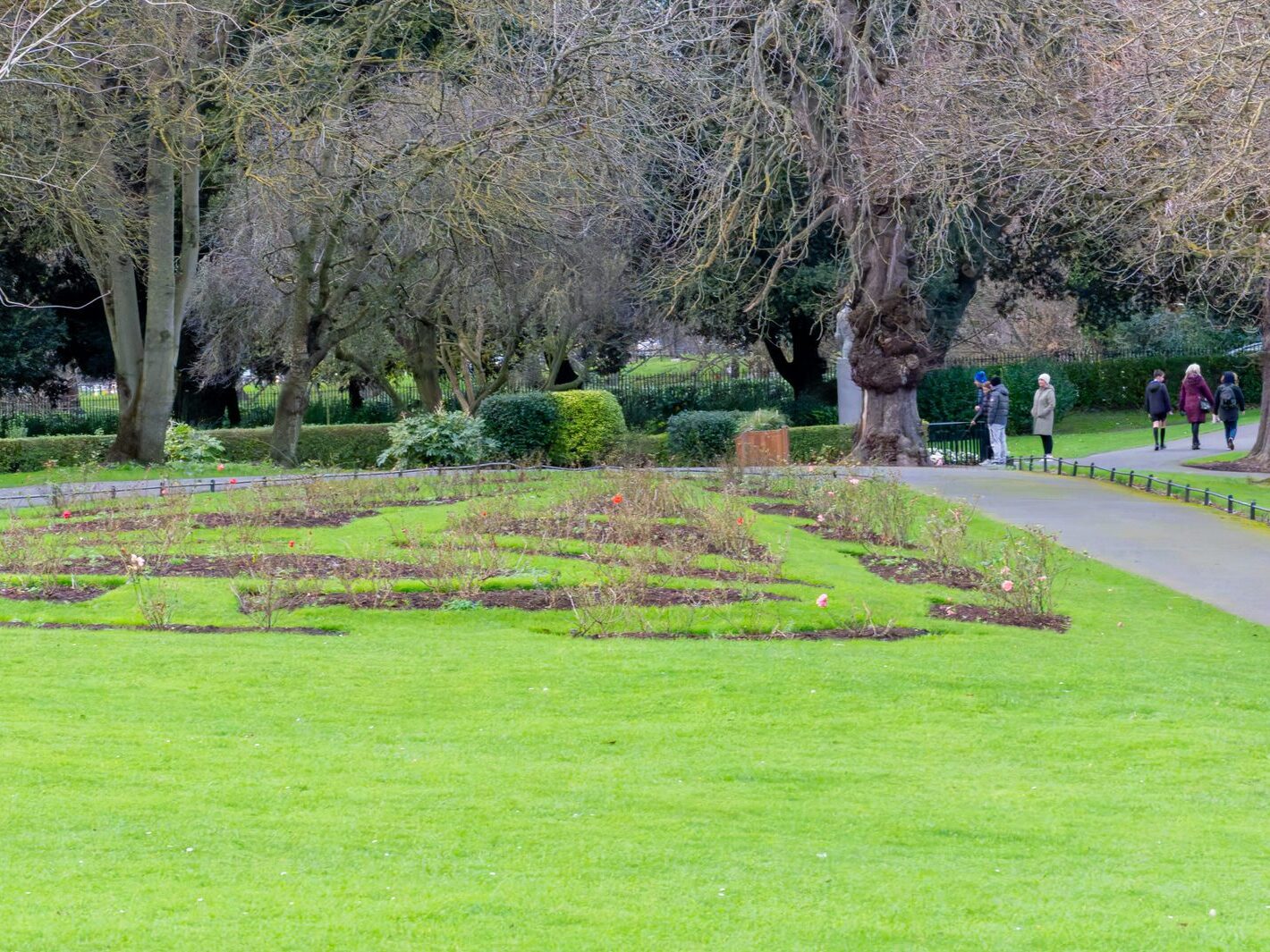 THE PEOPLES FLOWER GARDEN [PHOENIX PARK 30 DECEMBER 2024]-245935-1