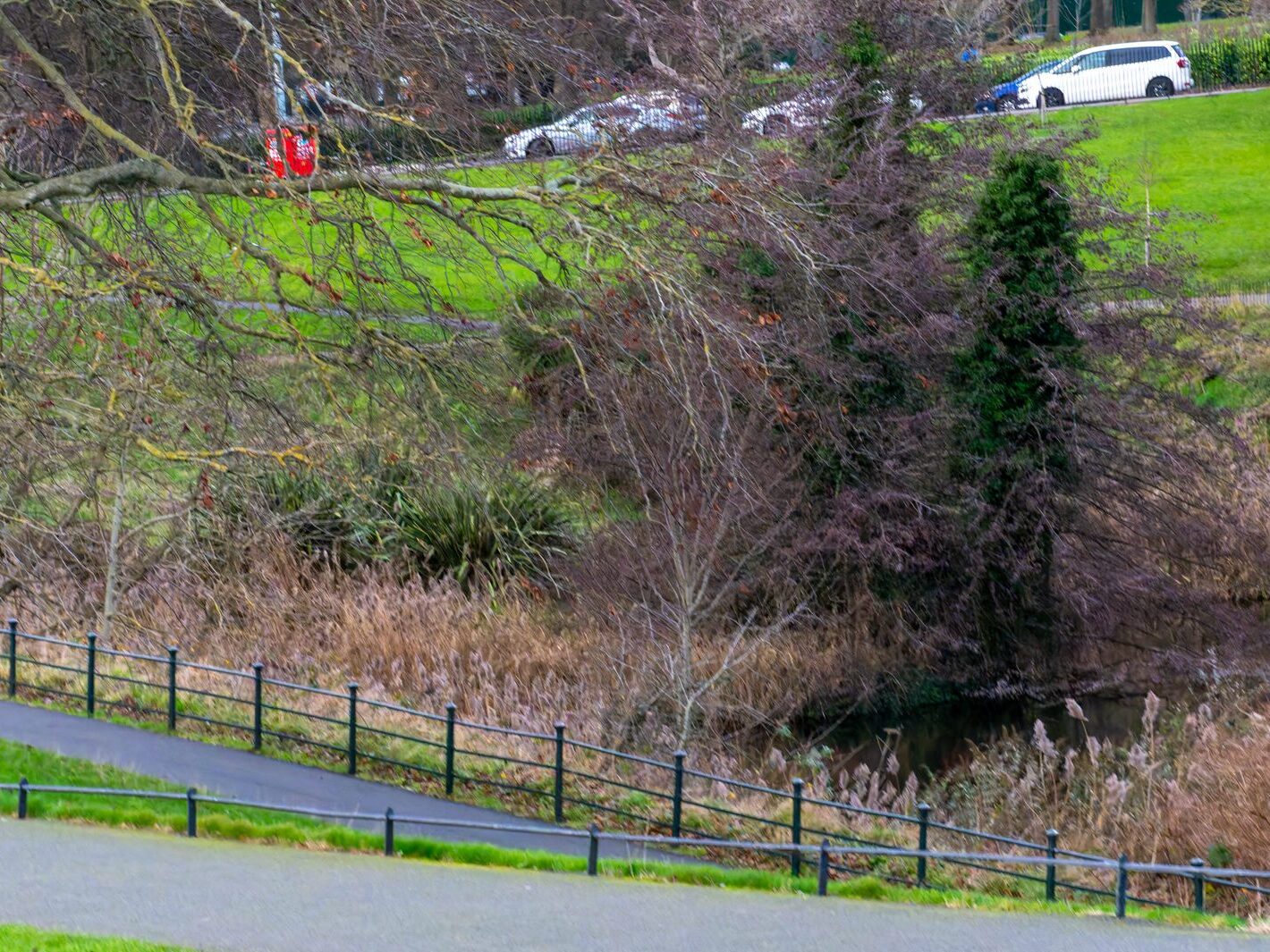 THE PEOPLES FLOWER GARDEN [PHOENIX PARK 30 DECEMBER 2024]-245936-1