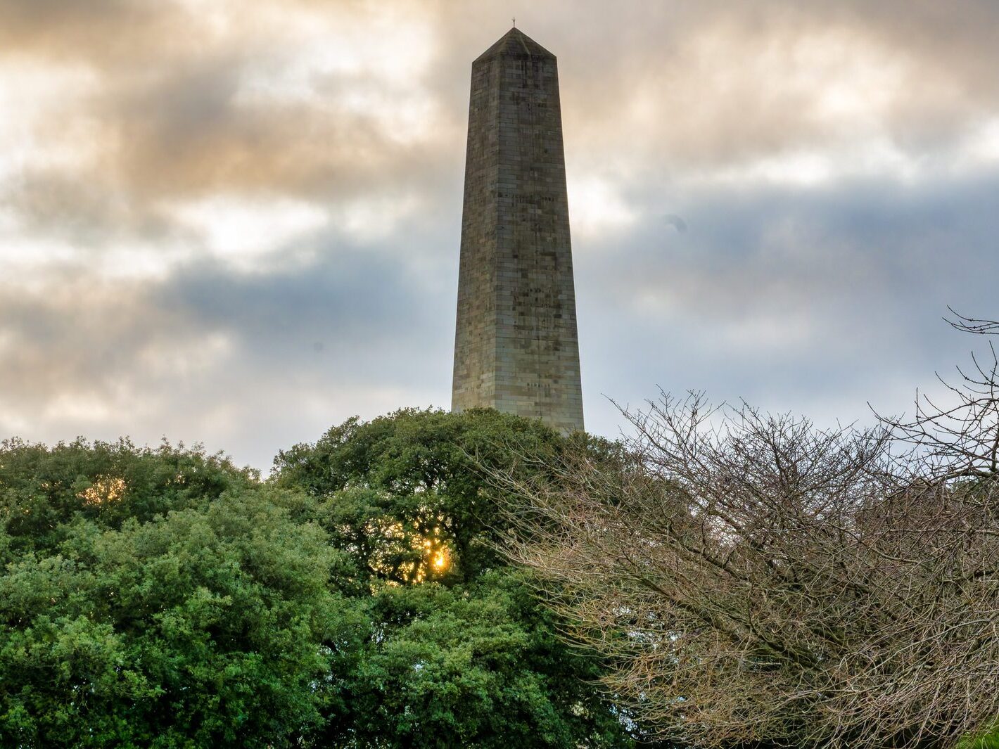 THE PEOPLES FLOWER GARDEN [PHOENIX PARK 30 DECEMBER 2024]-245937-1