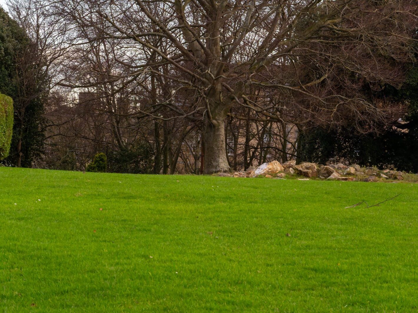 THE PEOPLES FLOWER GARDEN [PHOENIX PARK 30 DECEMBER 2024]-245938-1