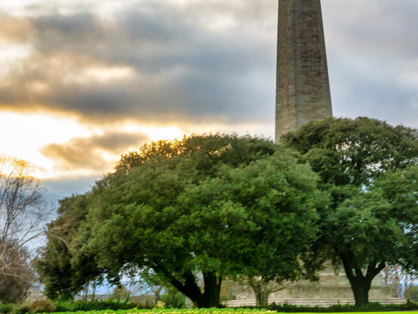 THE PEOPLES FLOWER GARDEN [PHOENIX PARK 30 DECEMBER 2024]-245940-1