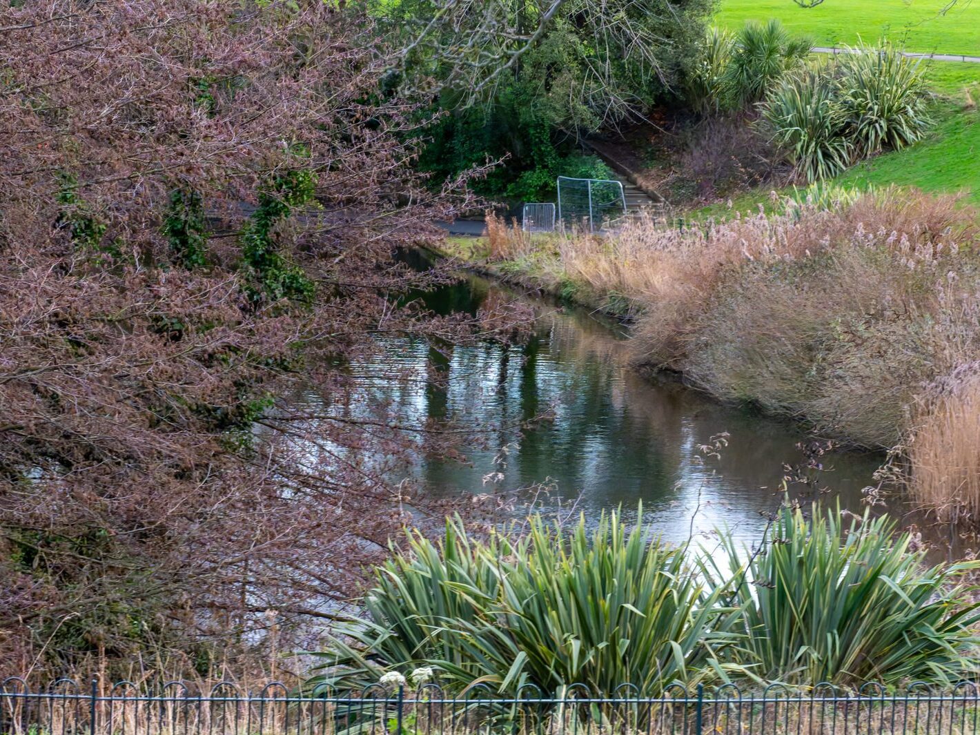 THE PEOPLES FLOWER GARDEN [PHOENIX PARK 30 DECEMBER 2024]-245945-1