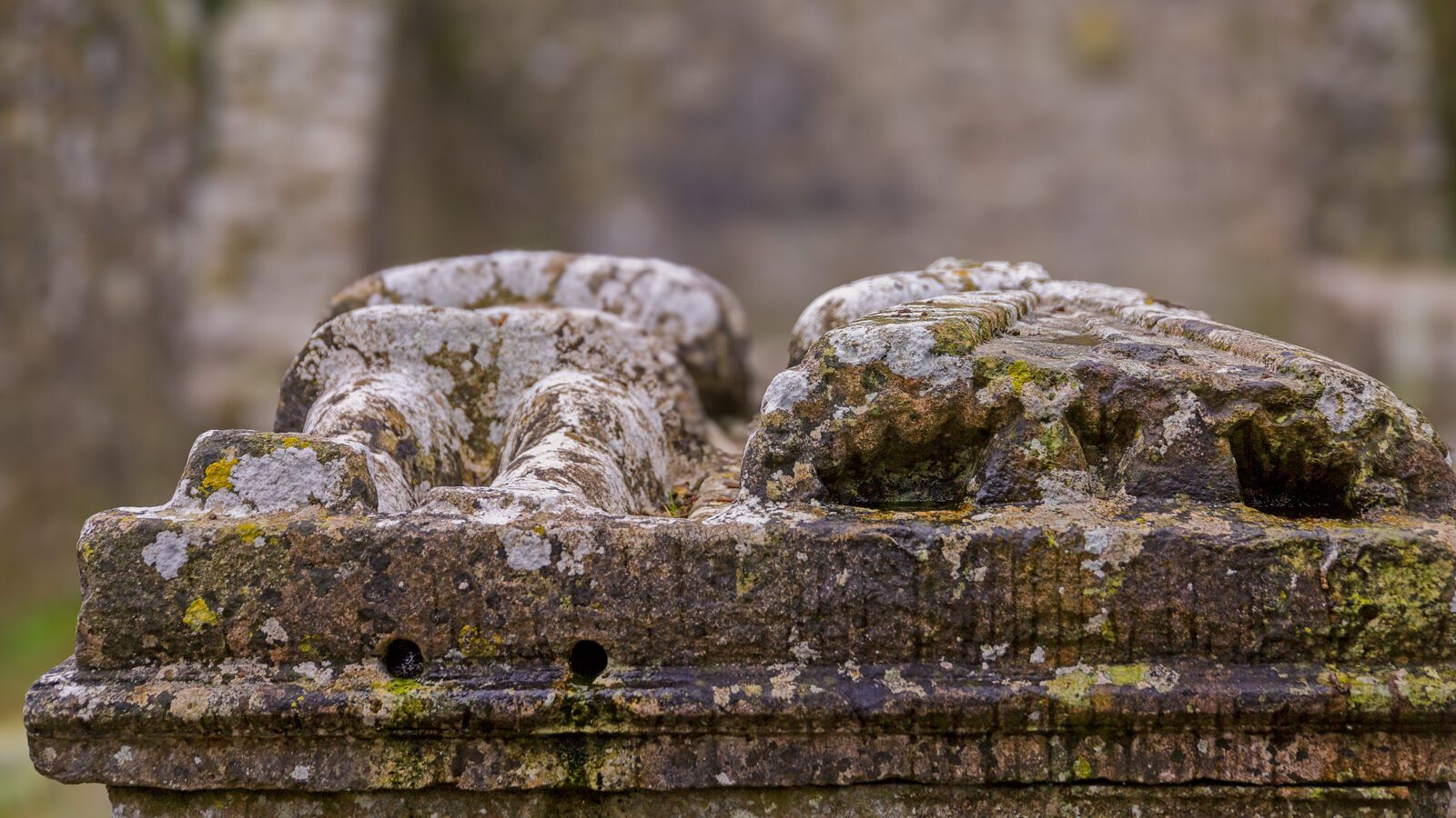 THE TOMB OF THE JEALOUS MAN AND WOMAN AND A CURE FOR WARTS [THE CEMETERY OF ST PETER AND PAULS CATHEDRAL IN TRIM]-226396-1